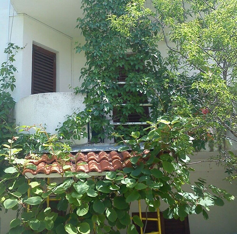 Фото Durda1 - 50 m From Beach - B2