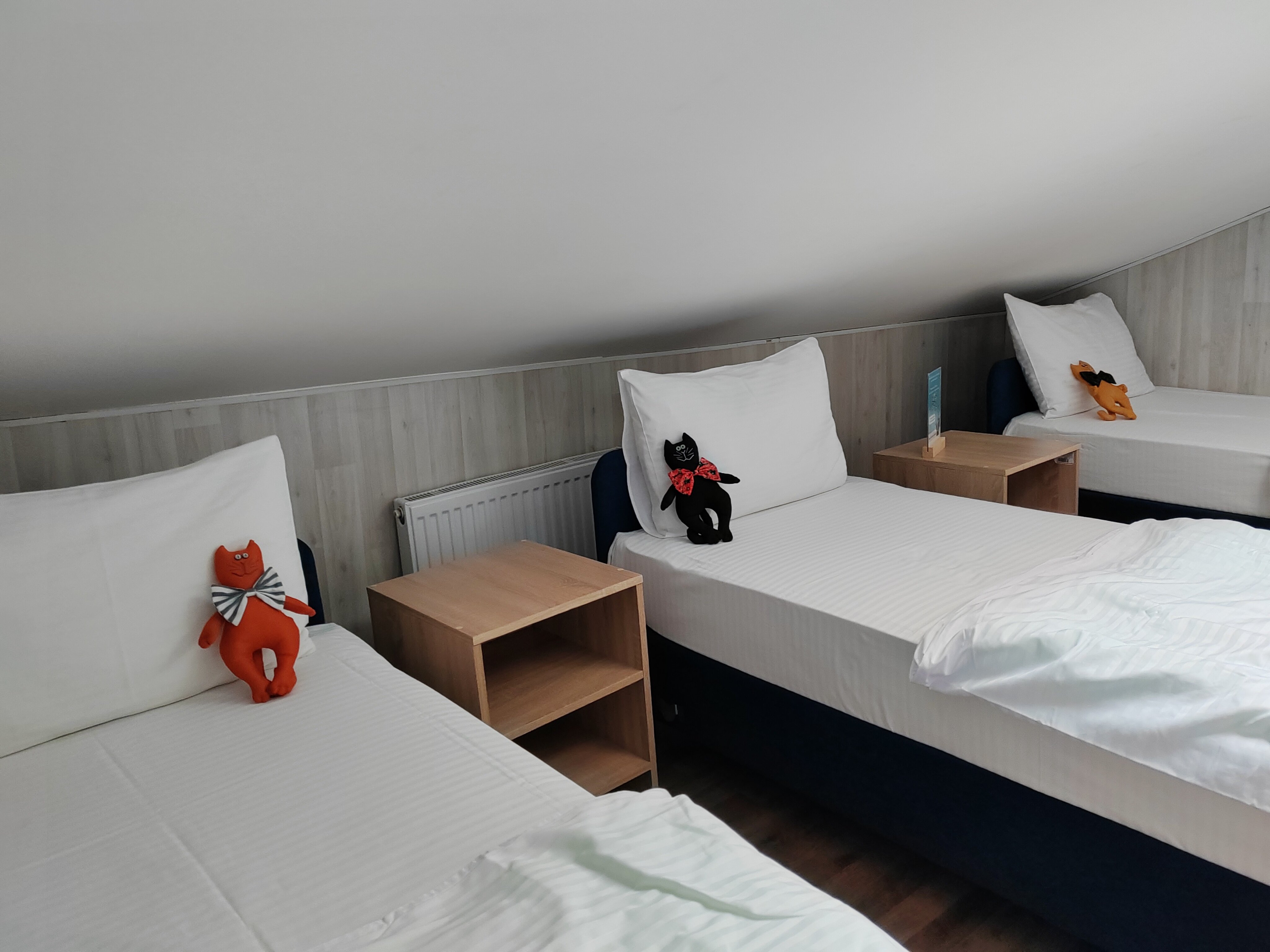 Фото РиверСайд Невский проспект