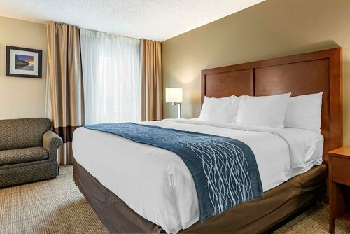 Гостиница Comfort Inn & Suites Diamondale – Lansing в Лансинге