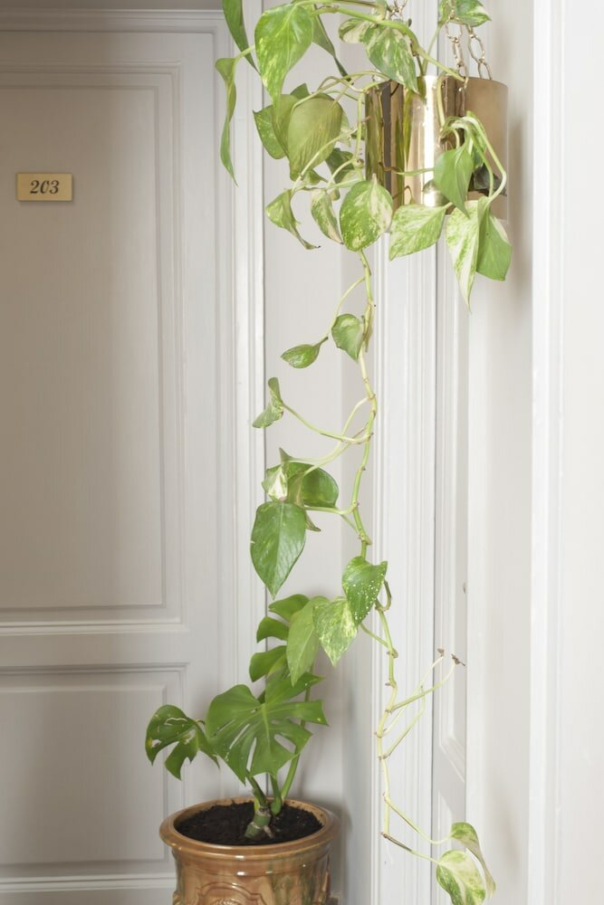 Фото Relais Stibbert Florence