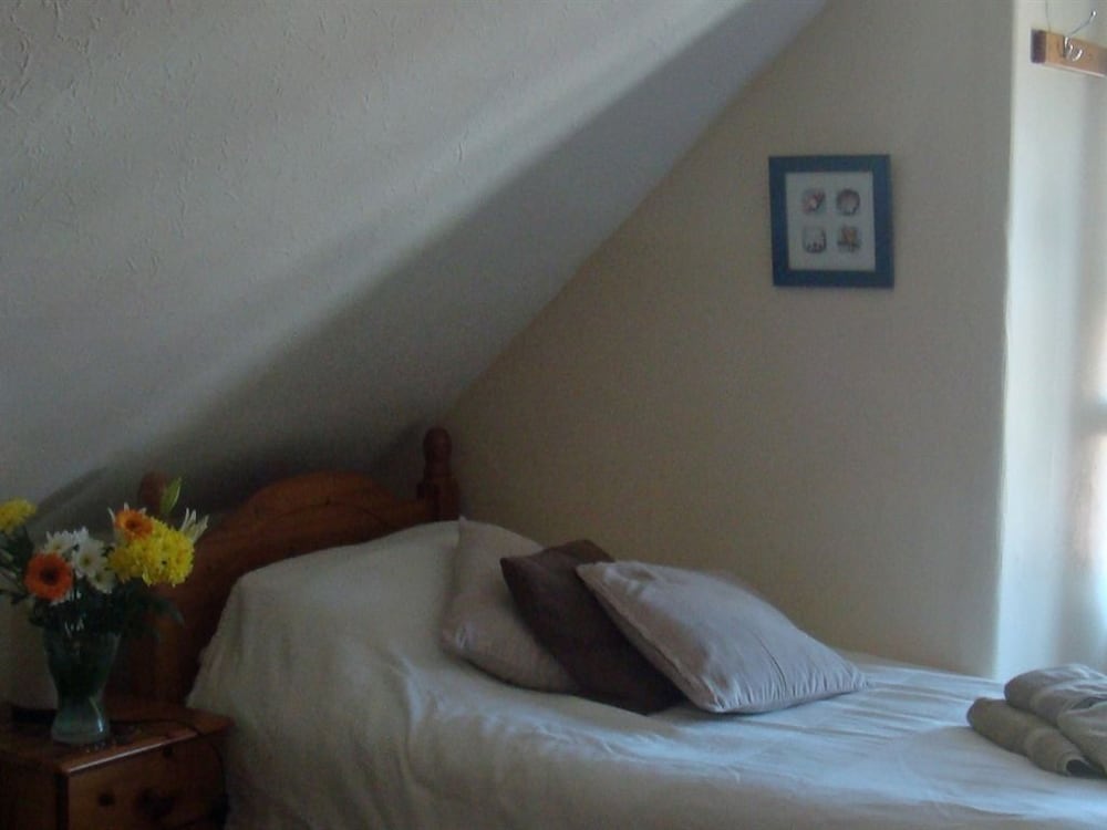 Фото Harlequin Guest House