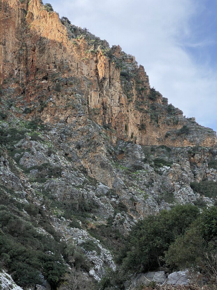 Фото Arion Stables & Apartments