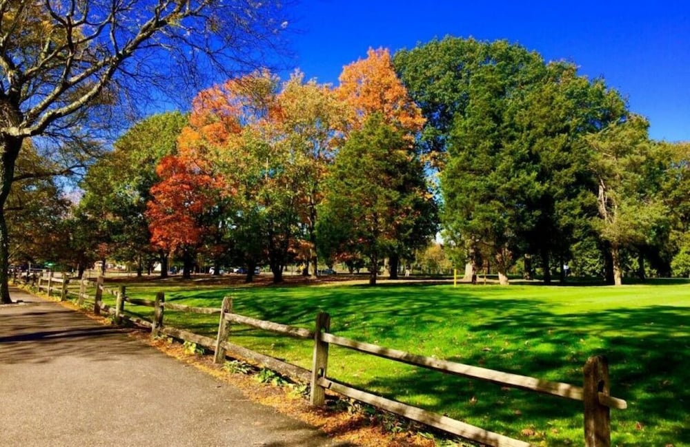 Фото Cheerful & Beautiful 3-Bedroom Ranch