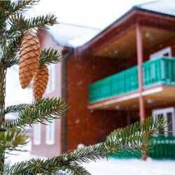 Арсеньево — фото 42