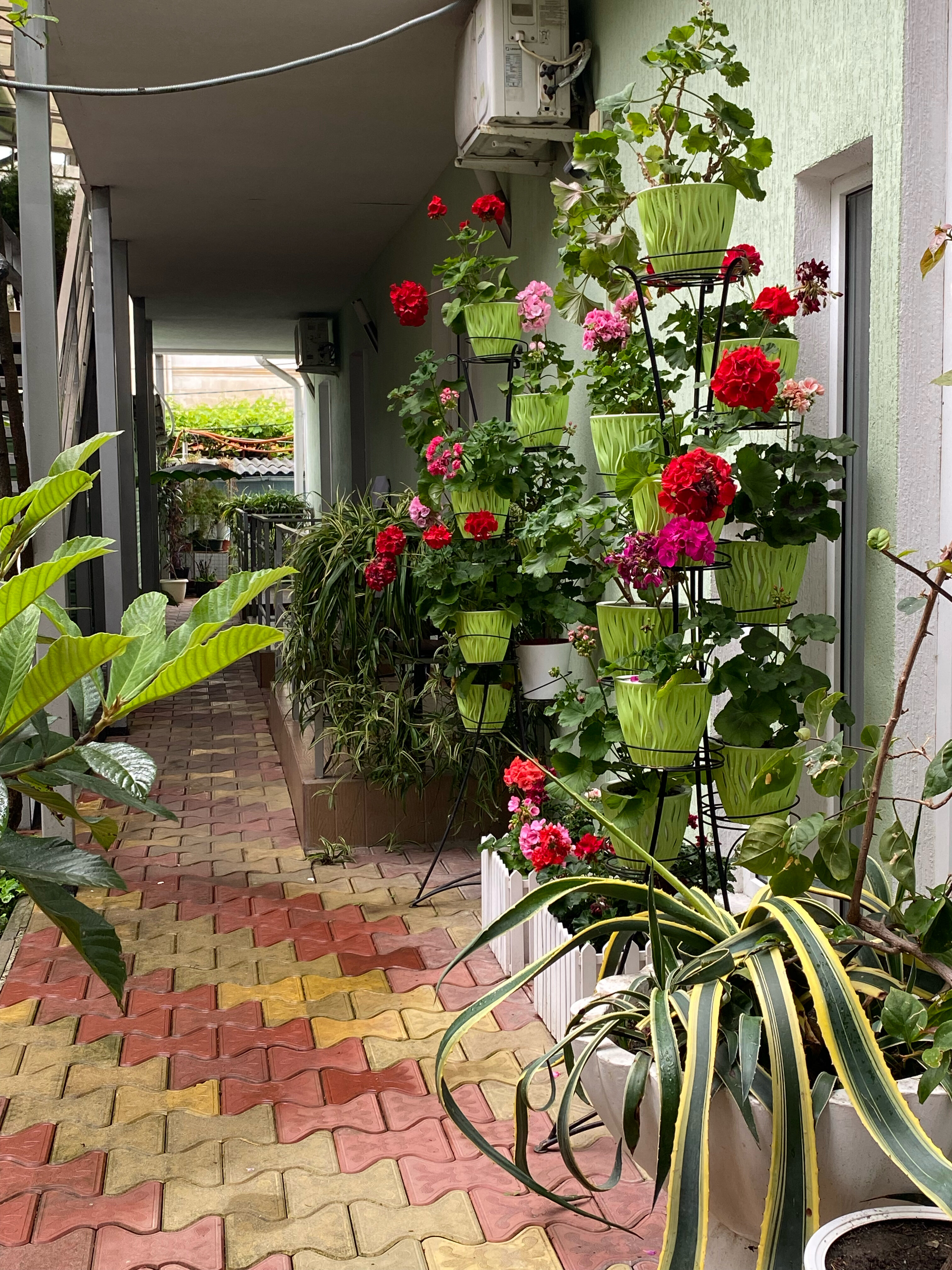 Фото Тростник