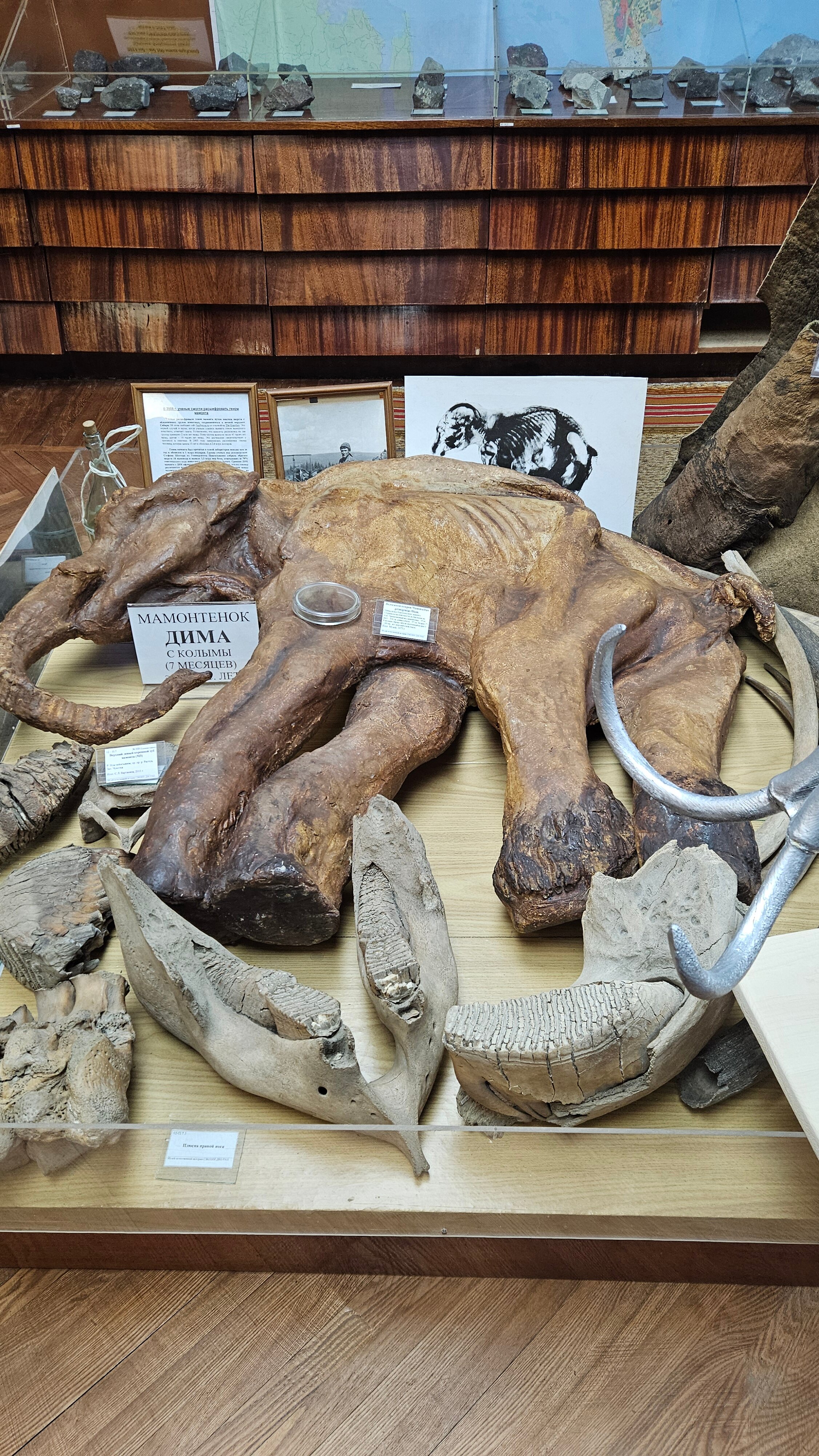 Фото Гостиница Магадан