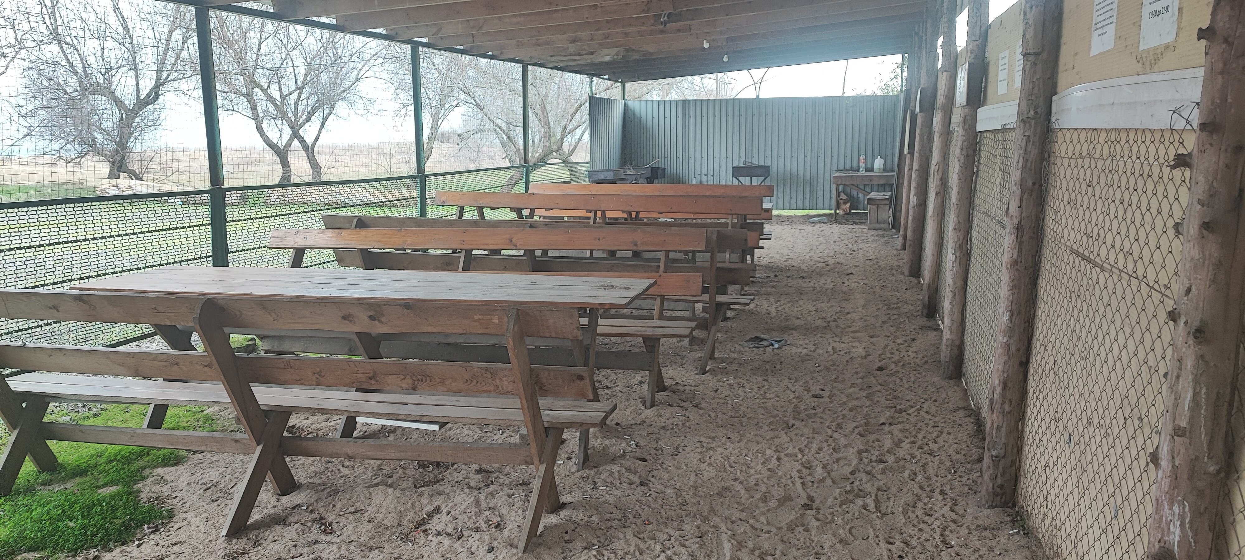 Фото Форест