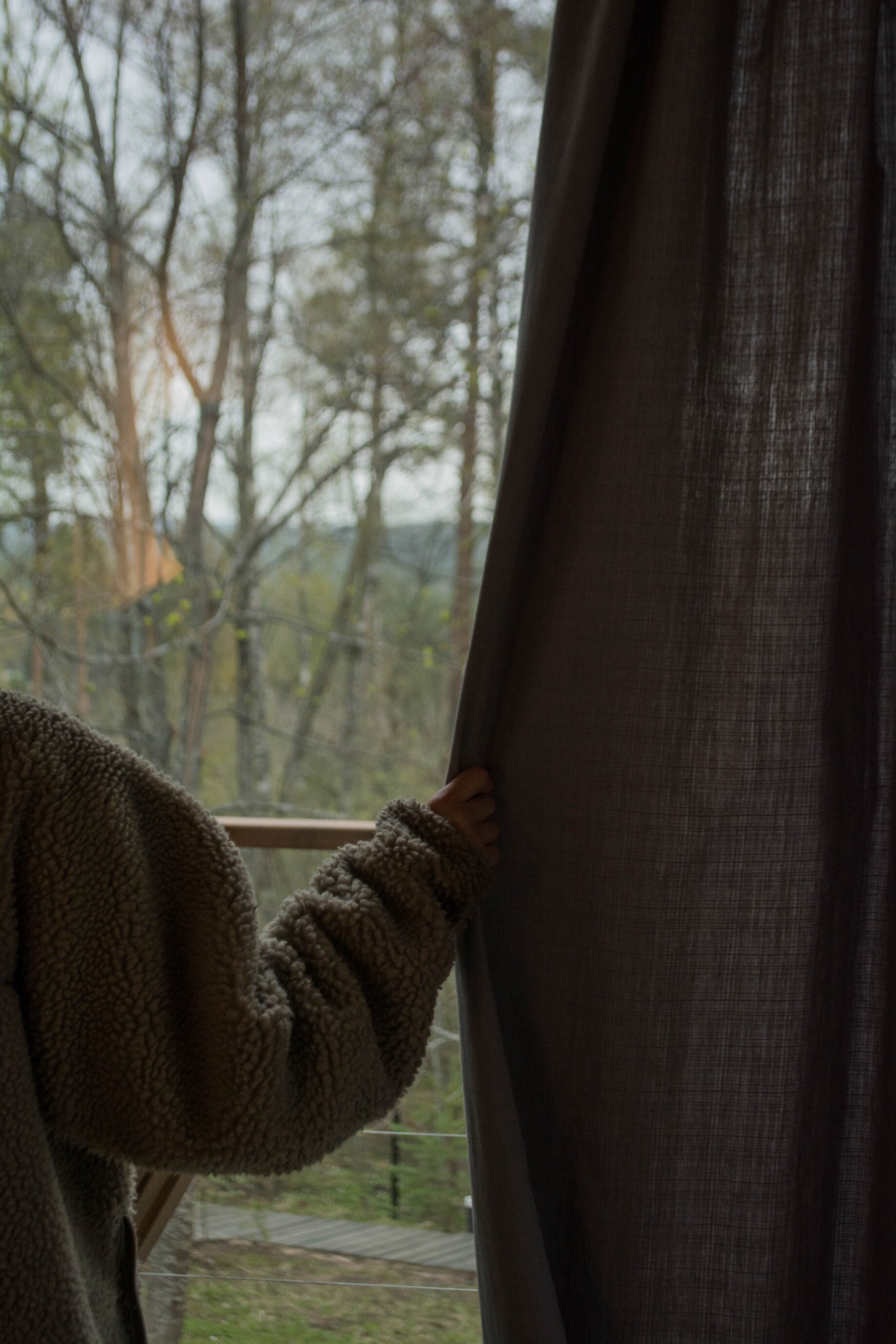 Фото Лесной восход