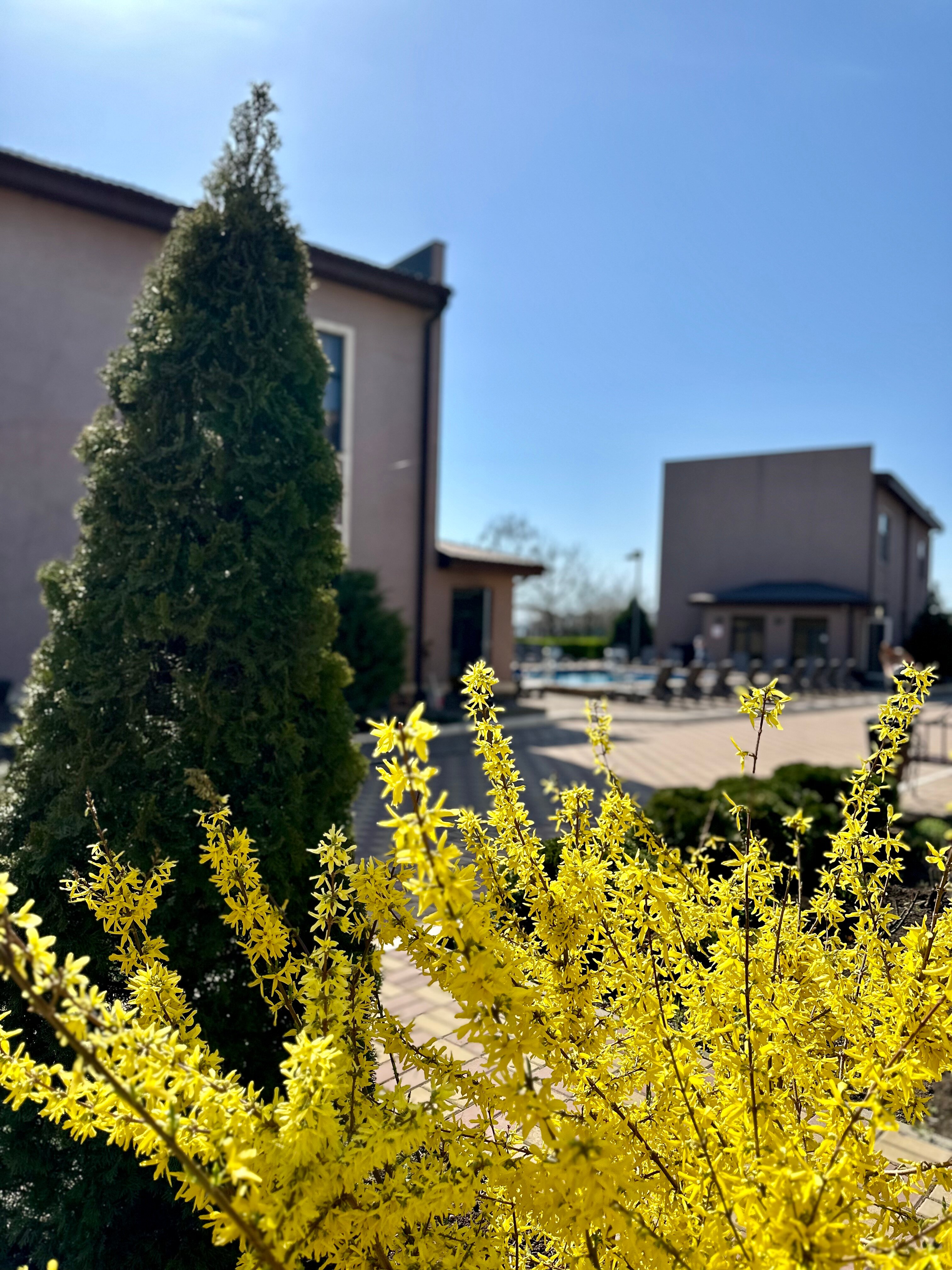 Фото Diamond Park Hotel