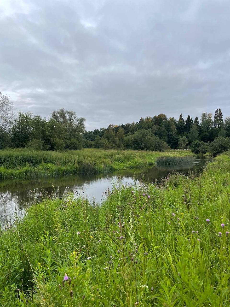 Фото В тишине