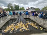 Sturgeon Estate (selo Babyakovo, Zerkalnaya ulitsa, 34), fisheries, fish farming