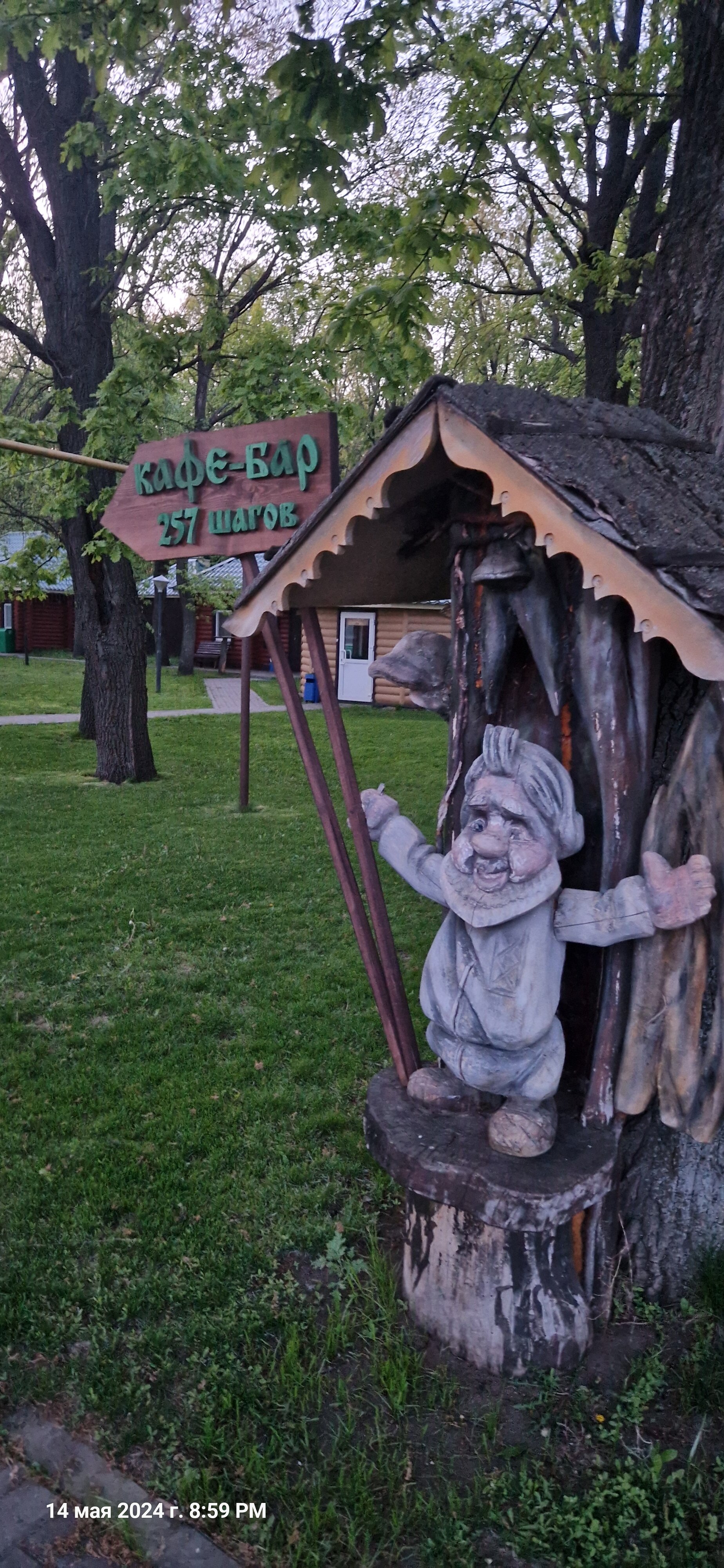 Фото Дубрава