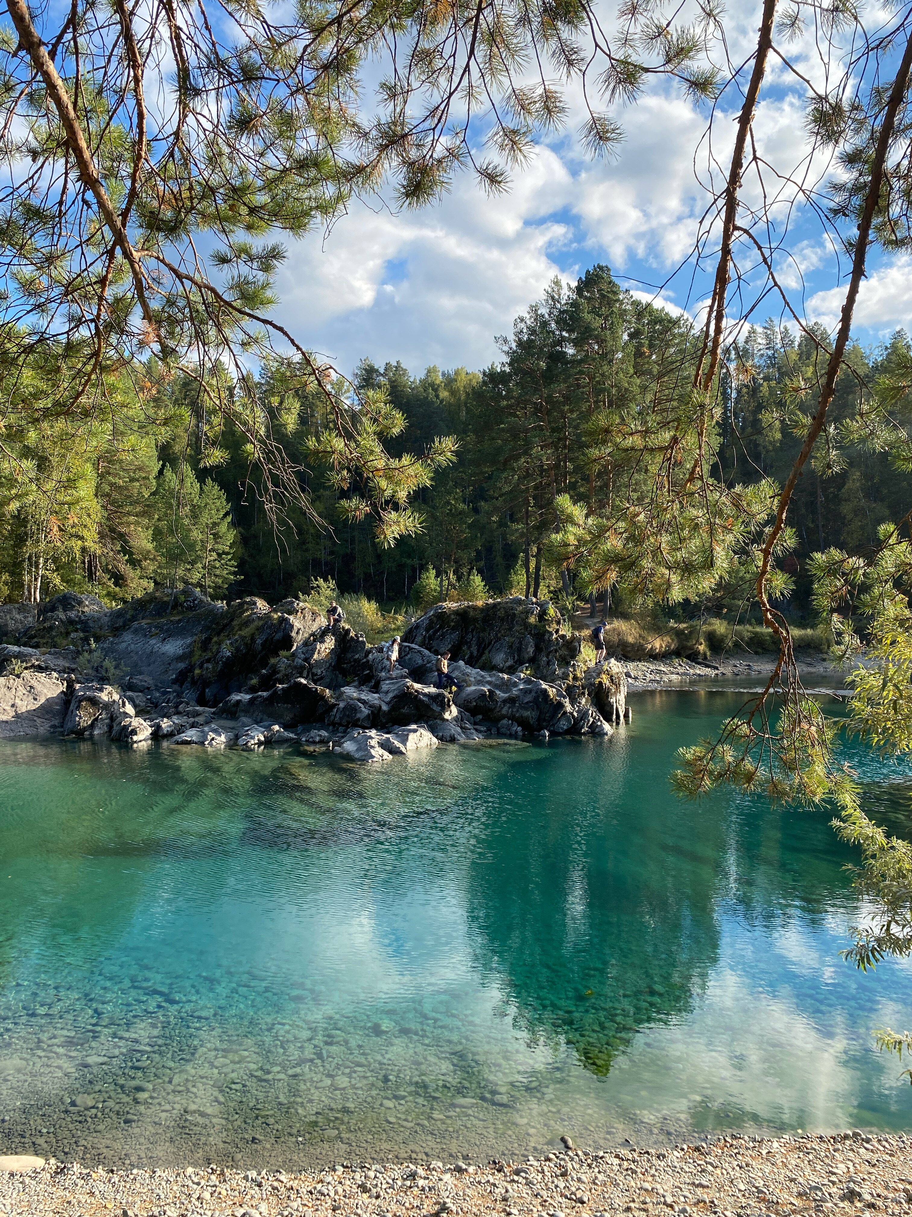 Фото Алтай берег