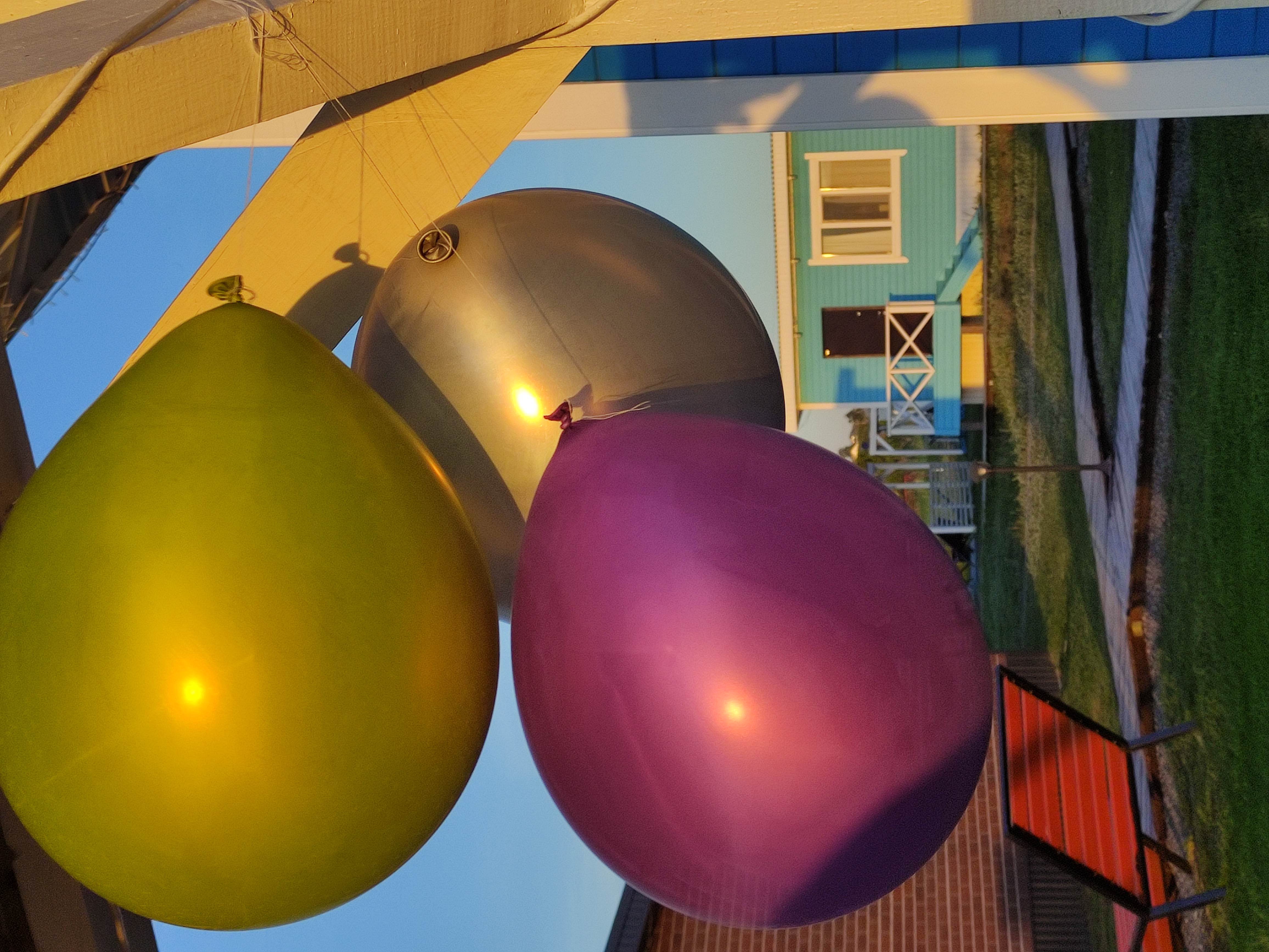 Фото Лебедино Эко