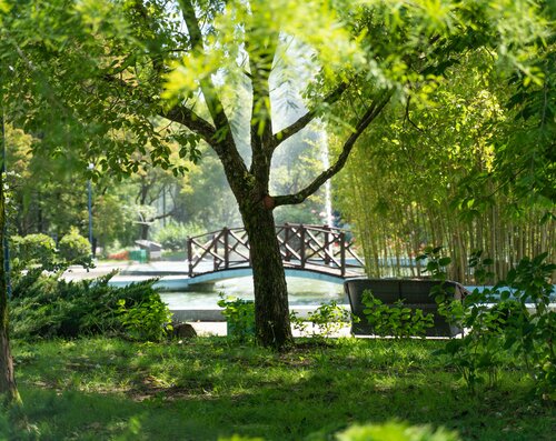 Санаторий Одиссея в Туапсе