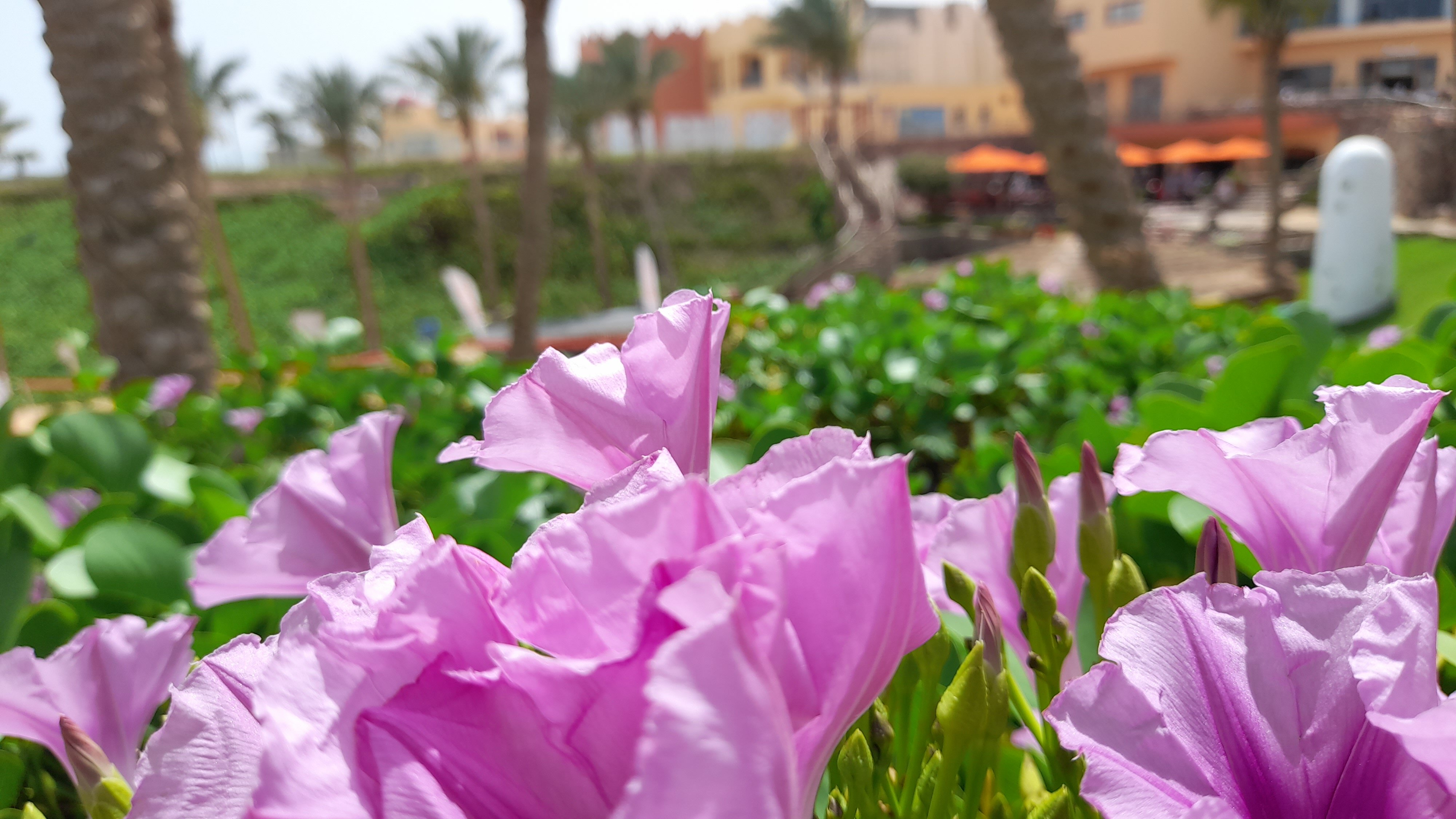 Фото Nubian Island