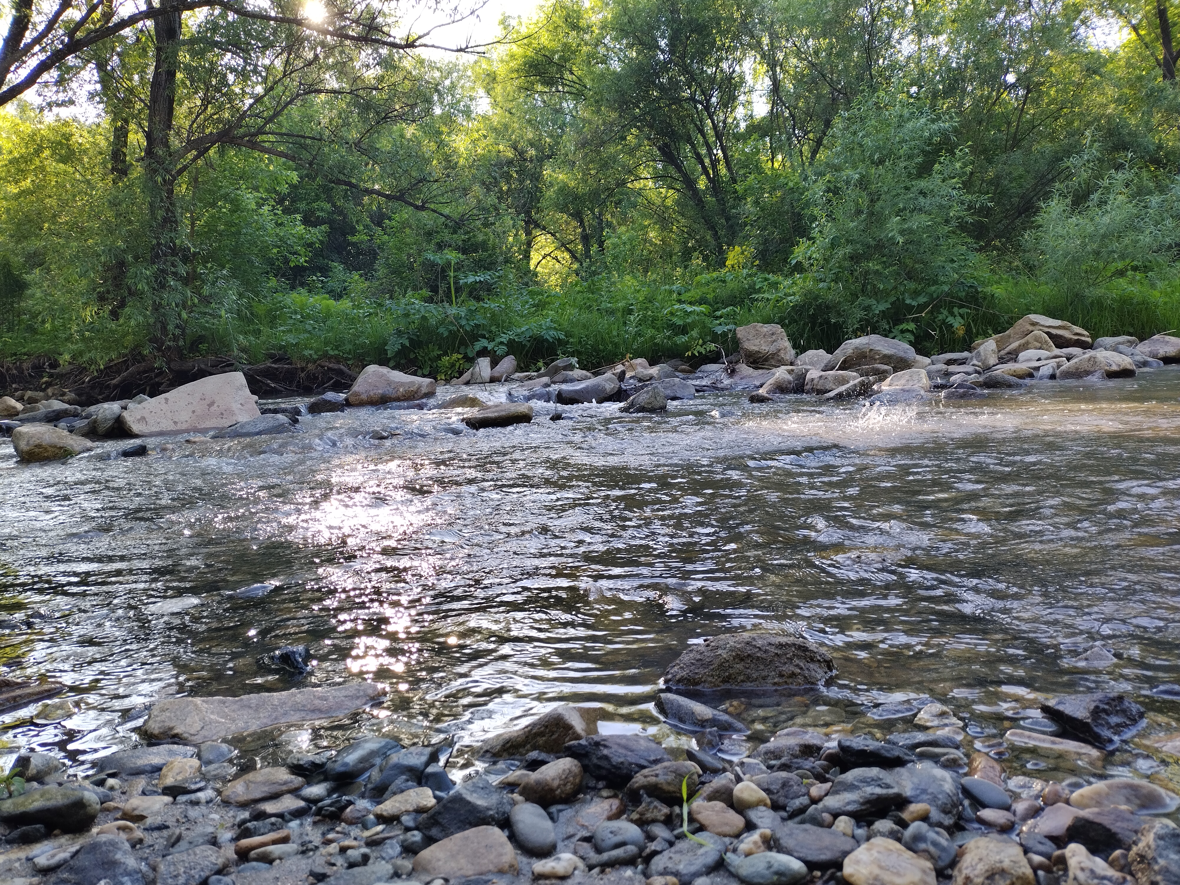 Фото Долина Алтая