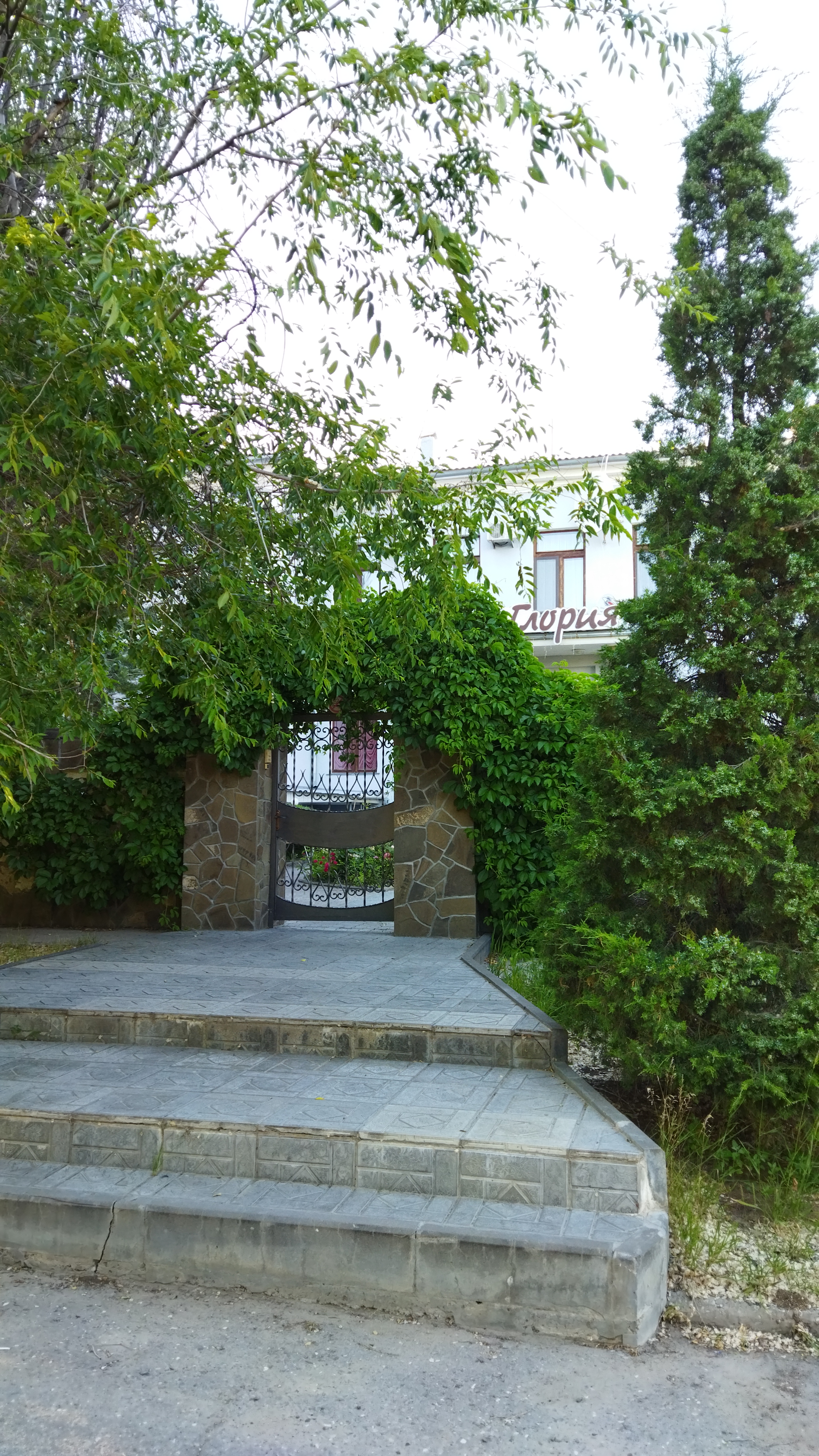 Фото Глория