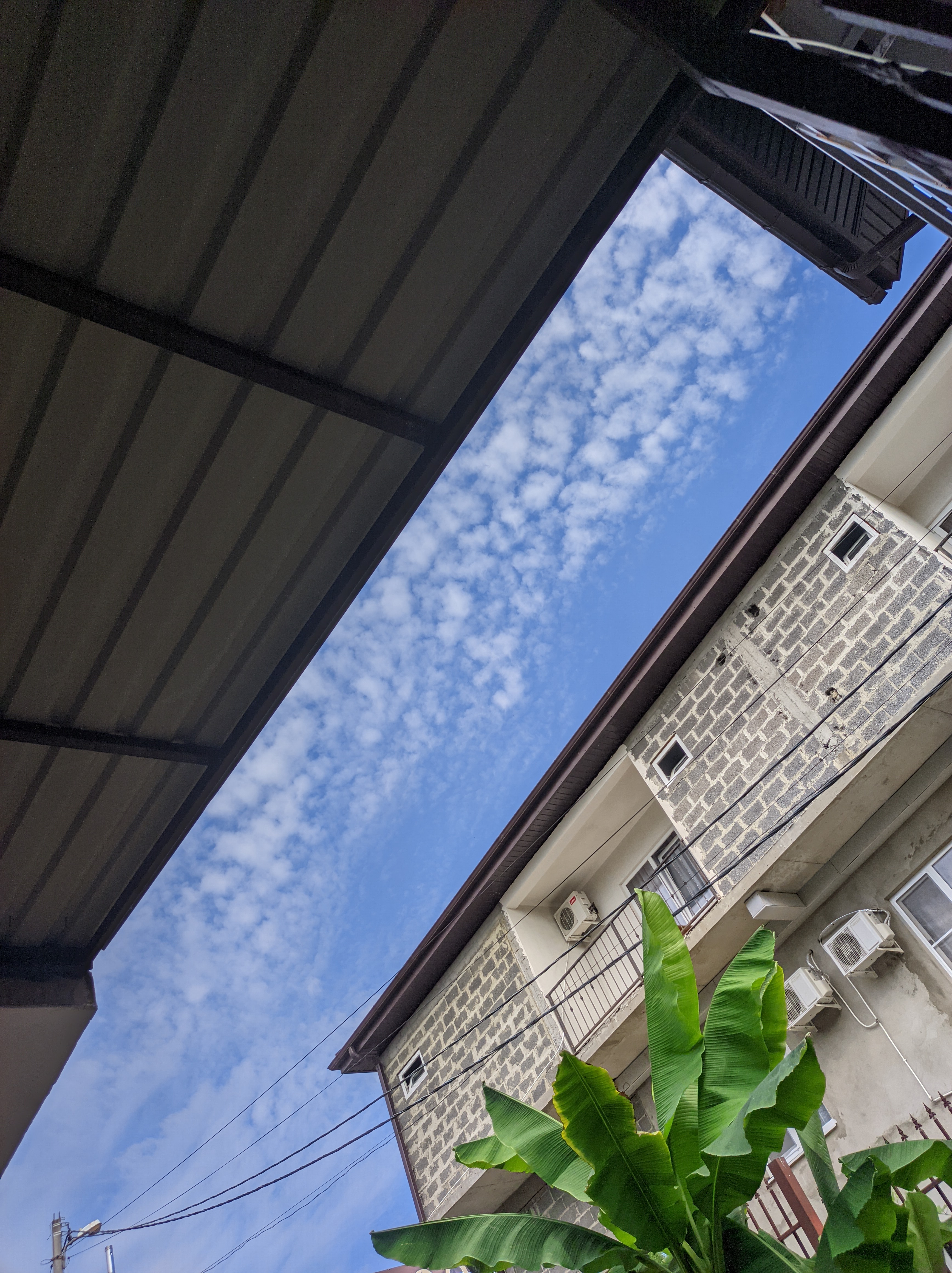 Фото Банановый рай