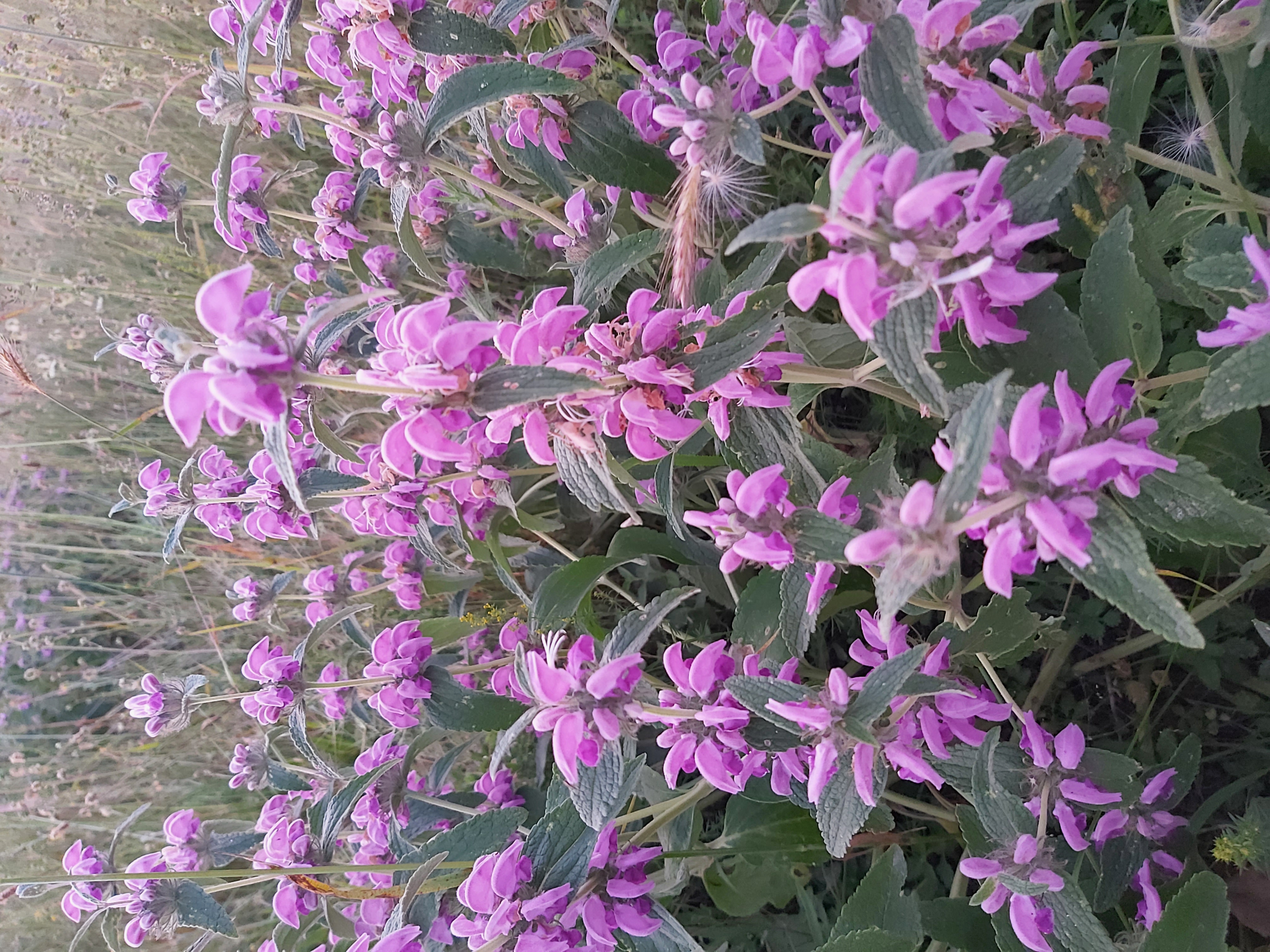 Фото Коттедж Уютный Домик