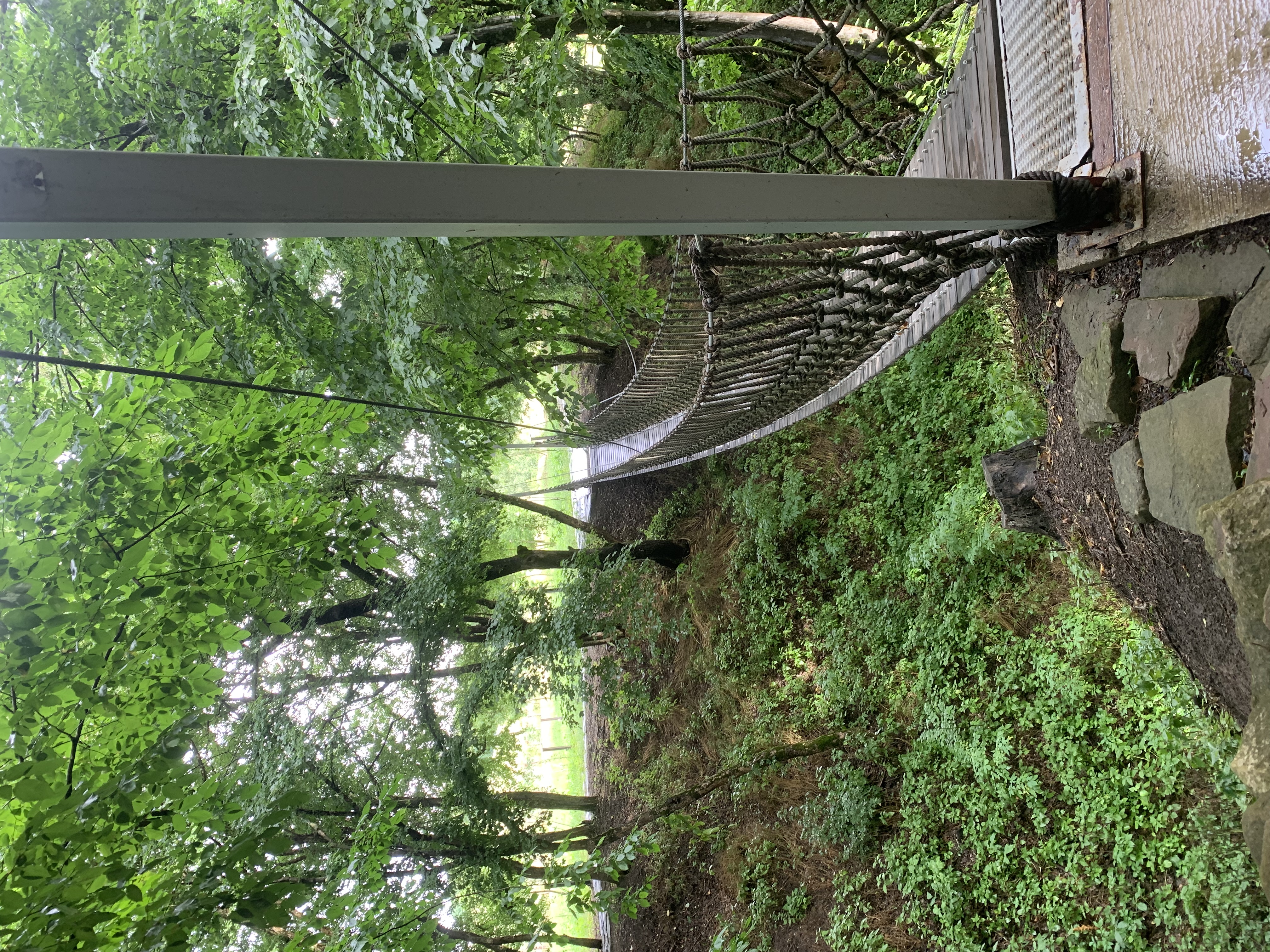 Фото Кремниевы термы