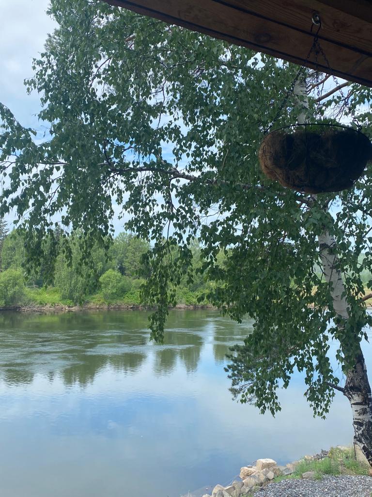 Фото Солнечная Заимка