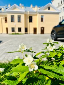 Дом паломника у блаженной Ксении