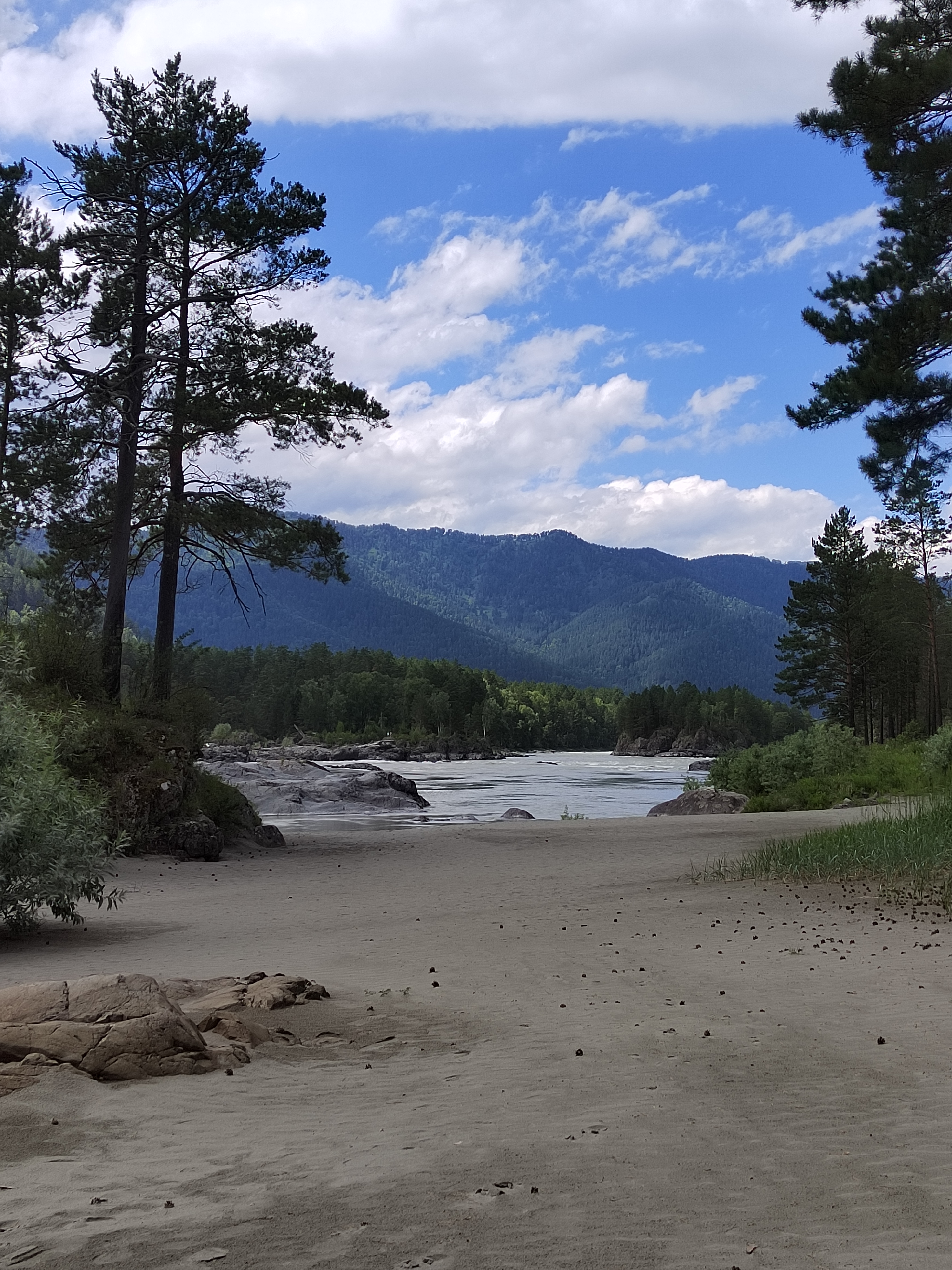 Фото Кедровый остров