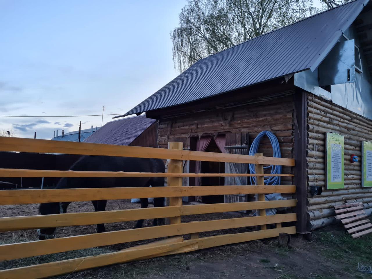 Фото Стрижели