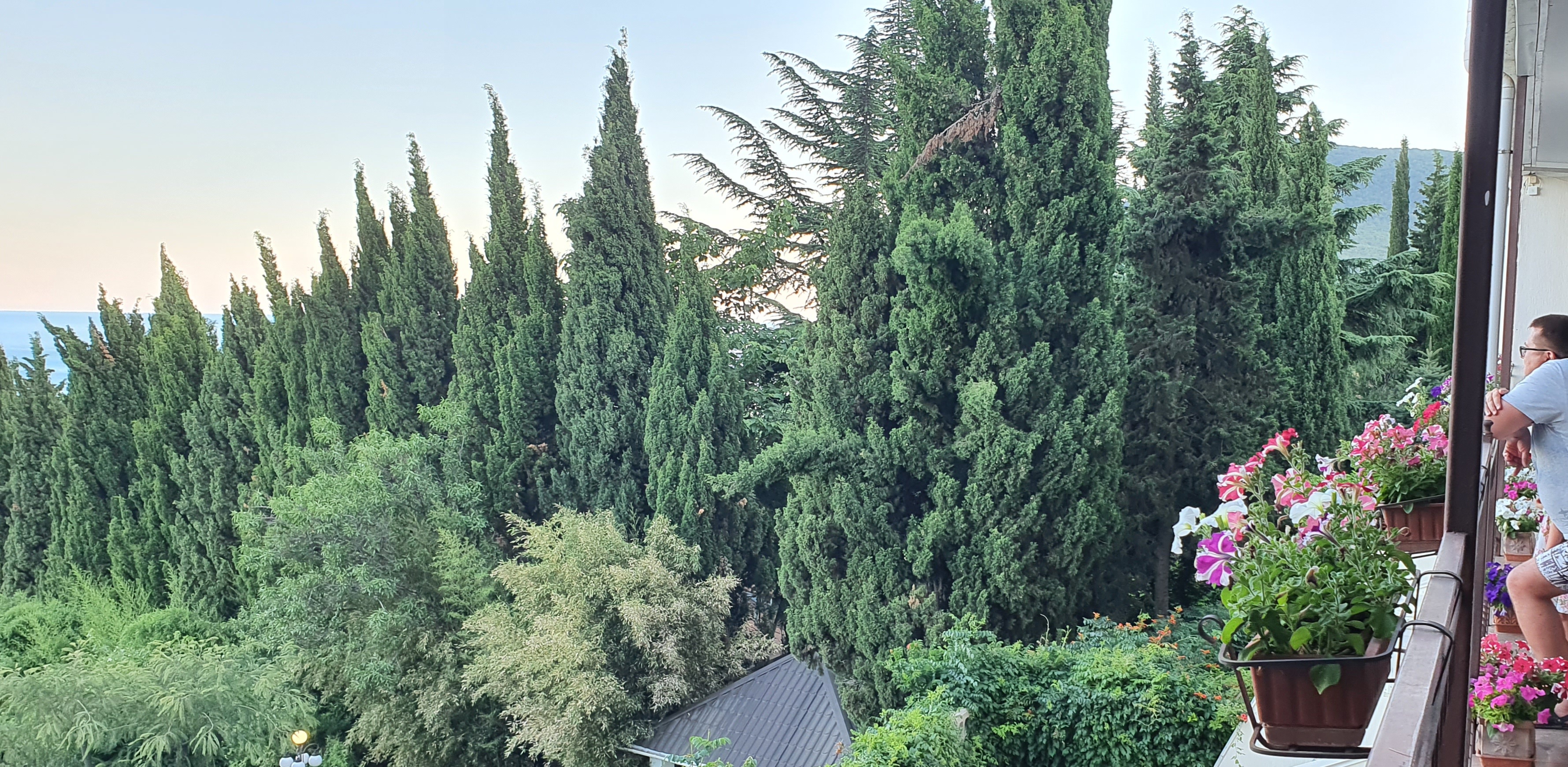 Фото Сказка