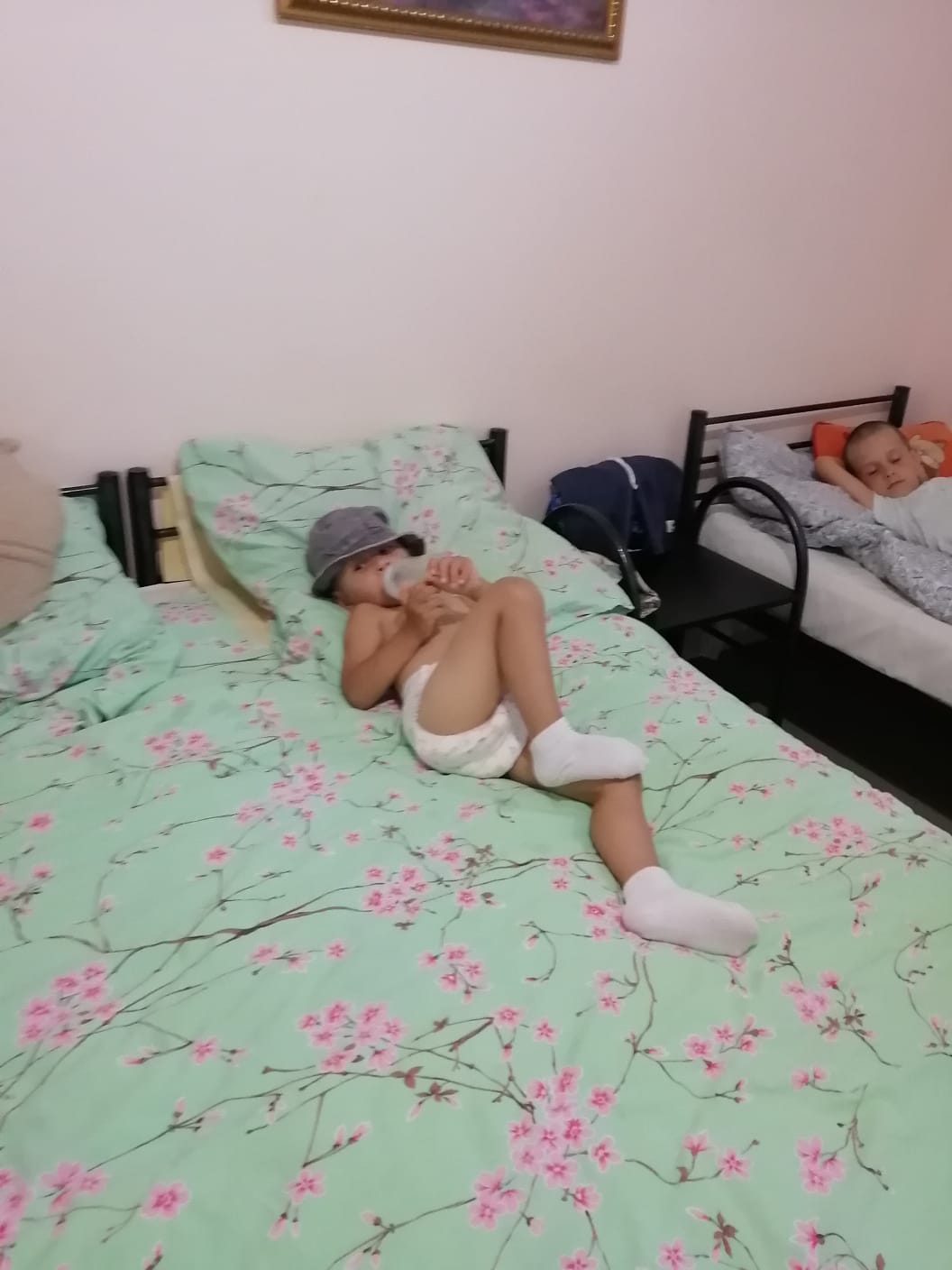 Фото Даурия