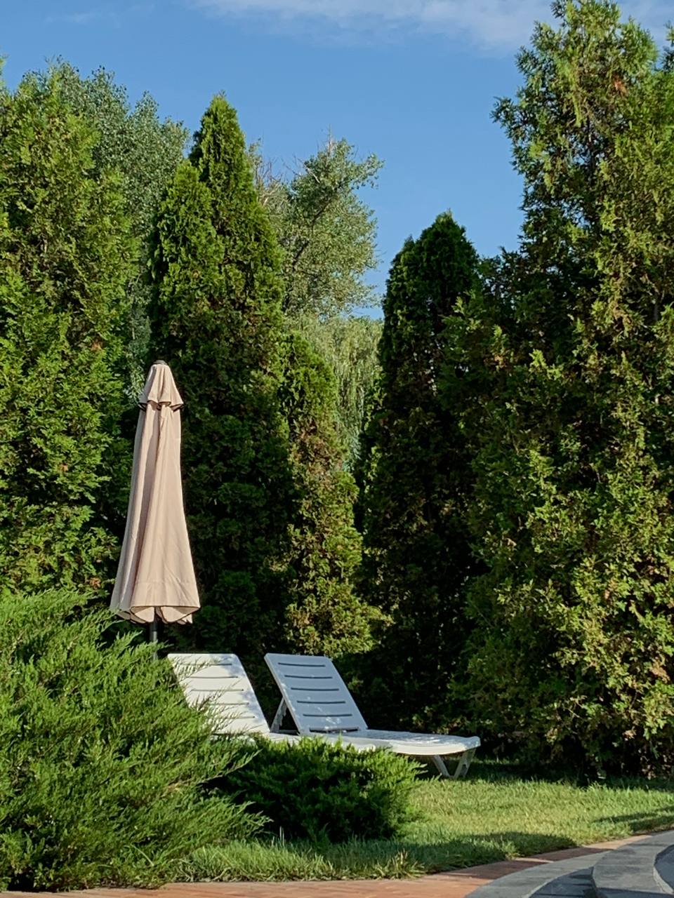 Фото Жардин