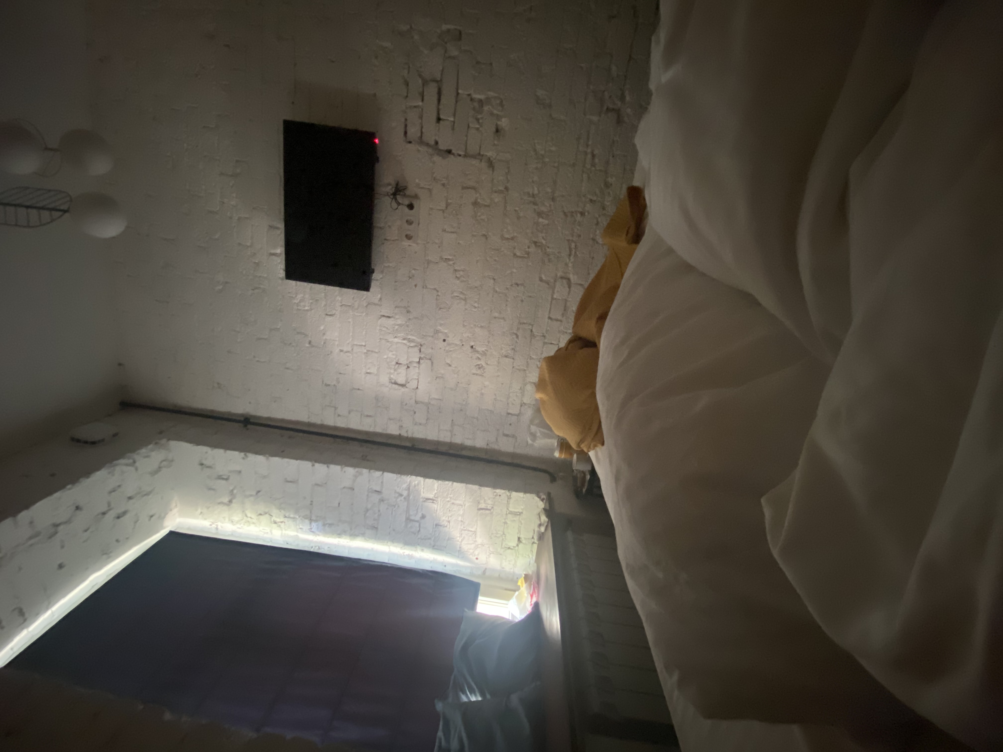 Фото Птица-Синица