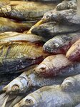 Fishmarket (Parkovy Avenue, 23), fish and seafood