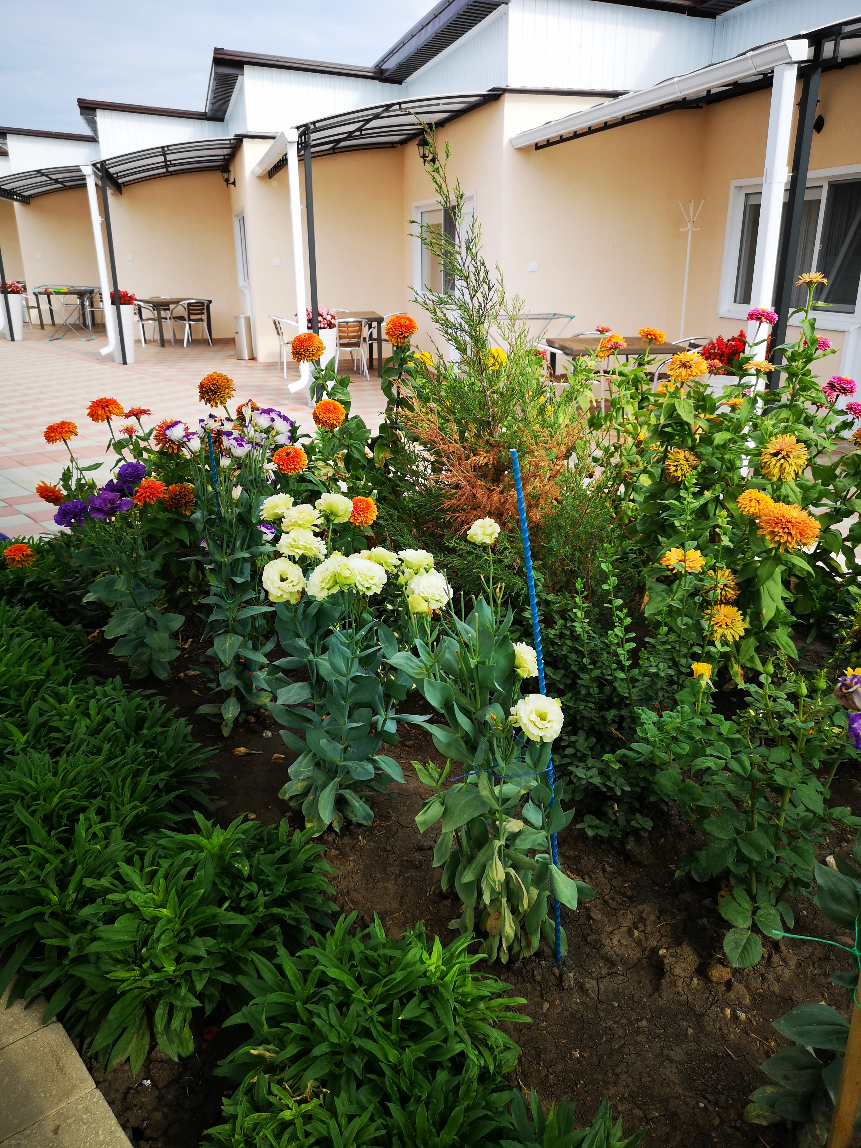 Фото Аква Тоника