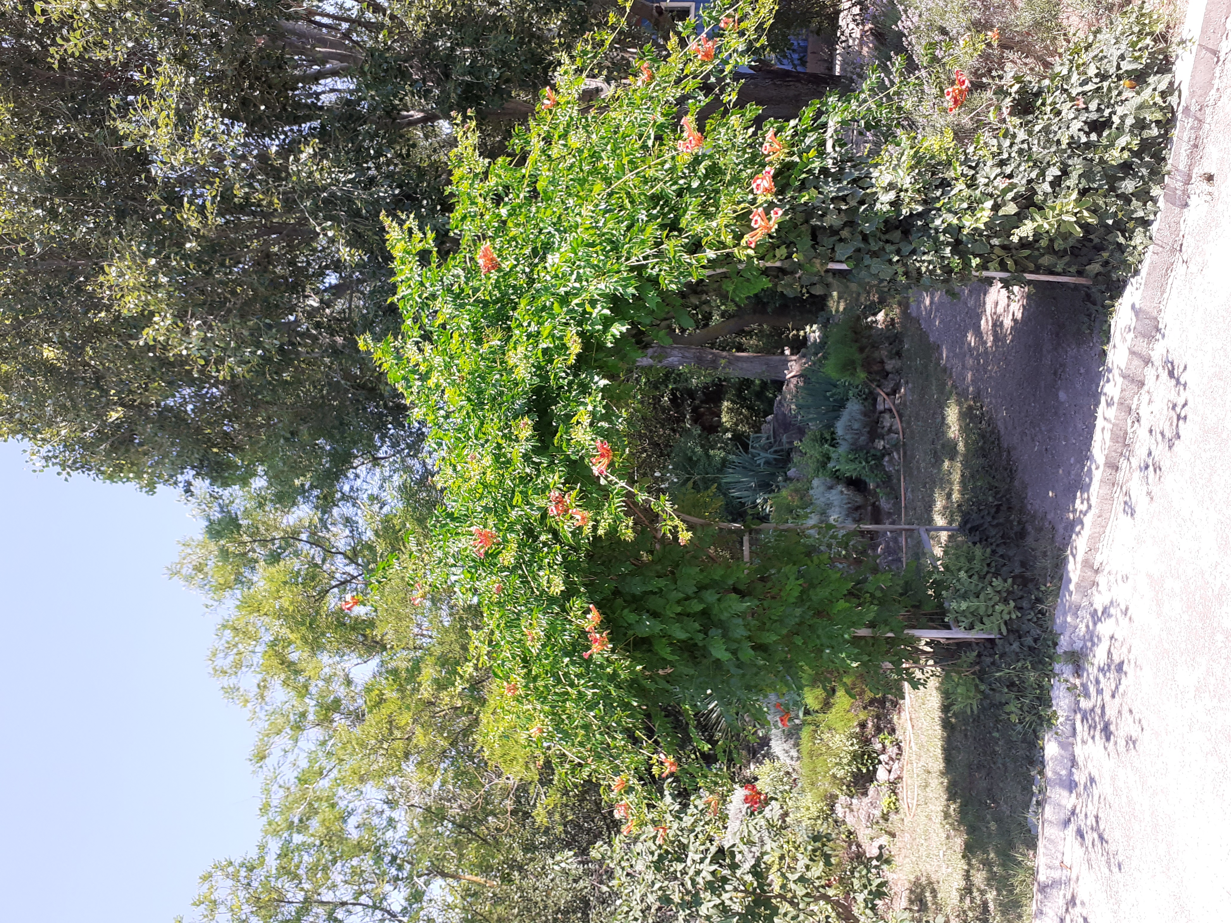 Фото Романтик-2