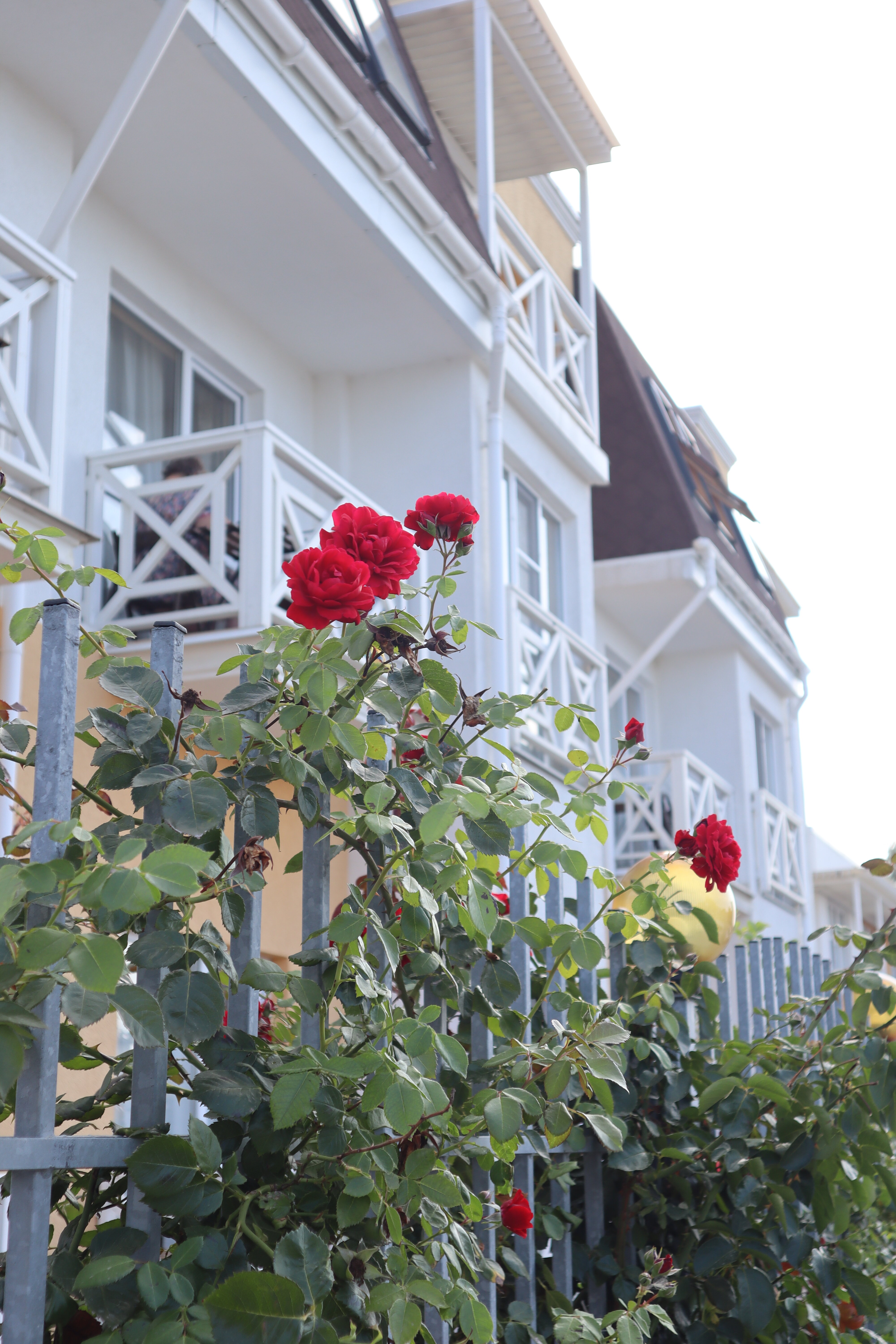 Фото Лето·отель