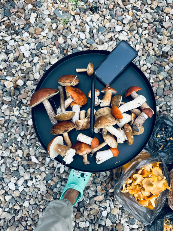 Фото Д Дача