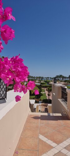 Гостиница Jaz Mirabel Beach в Шарм-эль-Шейхе