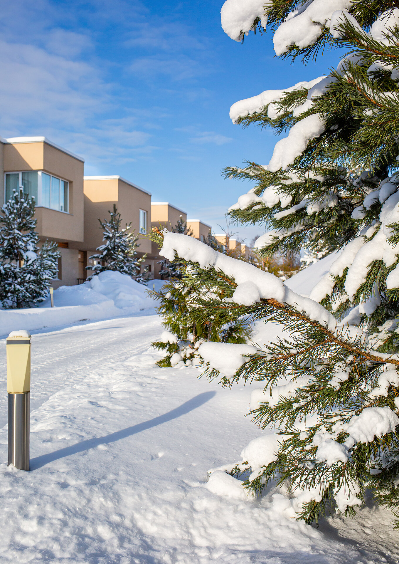 Фото Свежий ветер