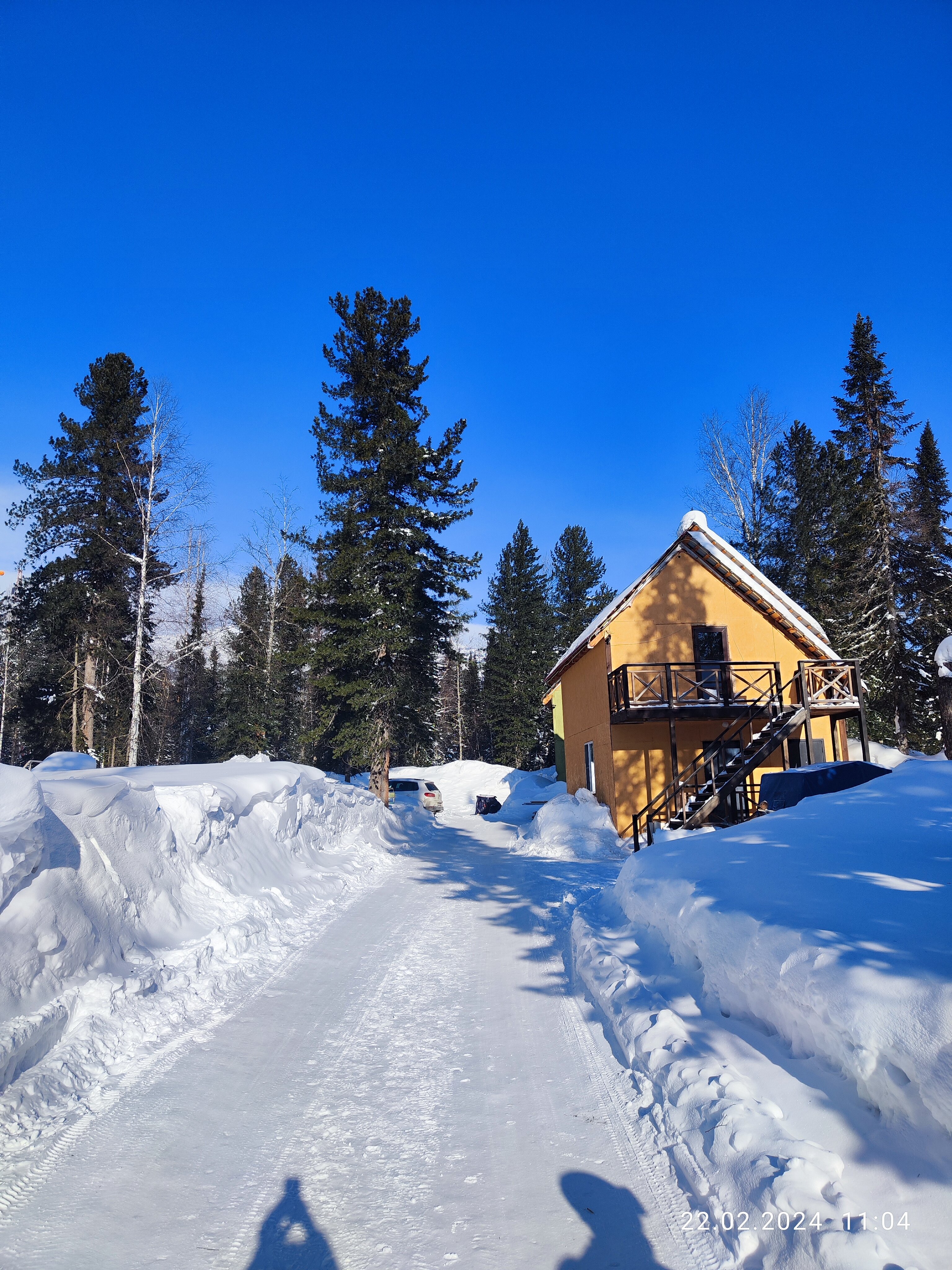 Фото Заповедный лес