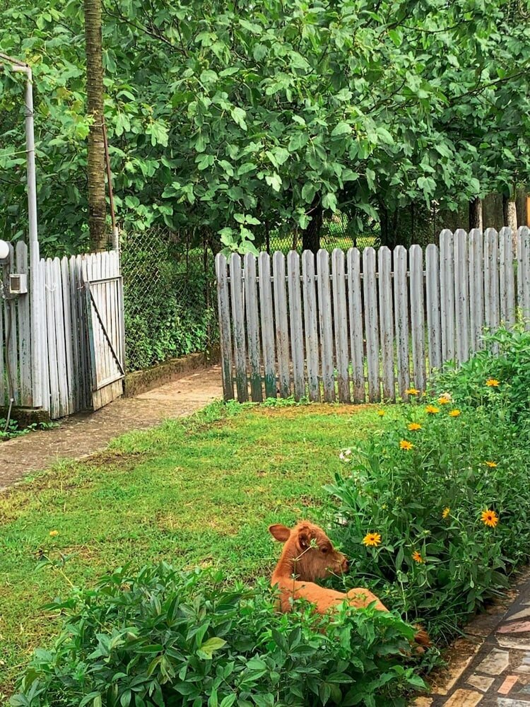 Фото Мини-отель Matua