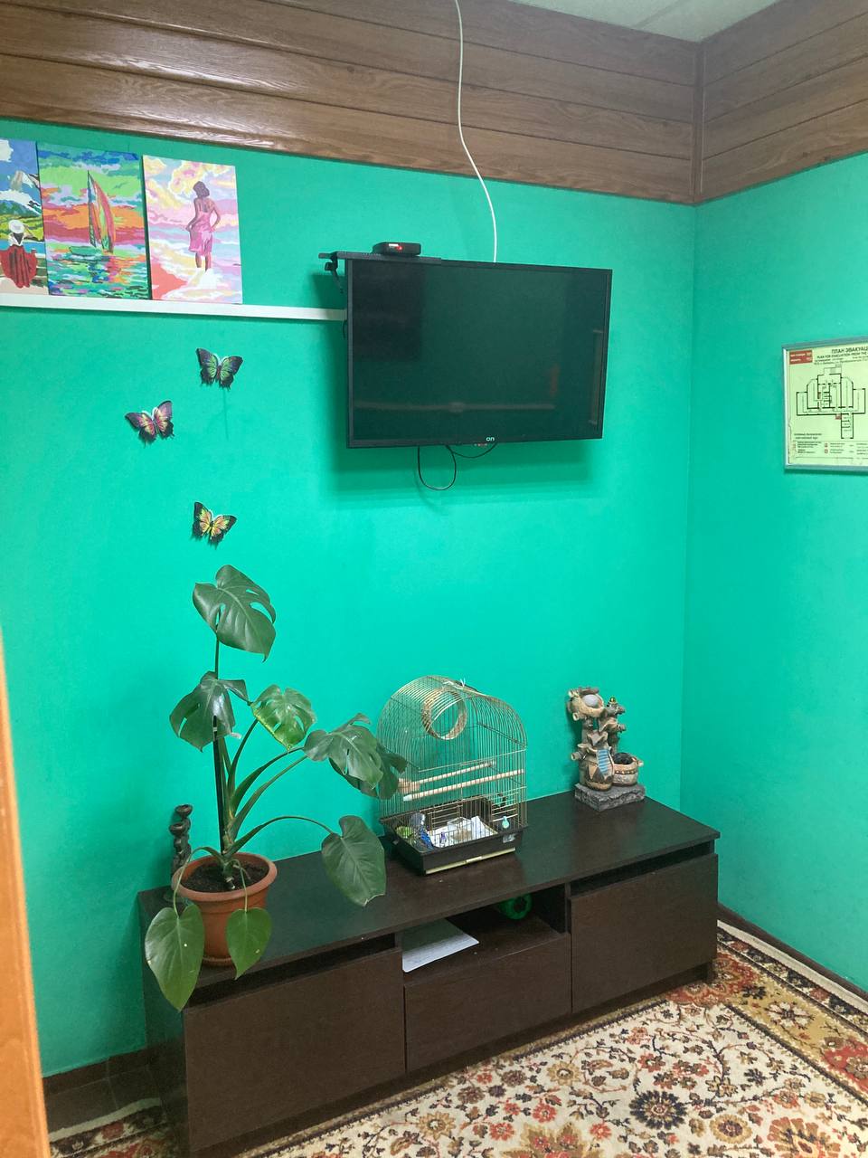 Фото Регион 13