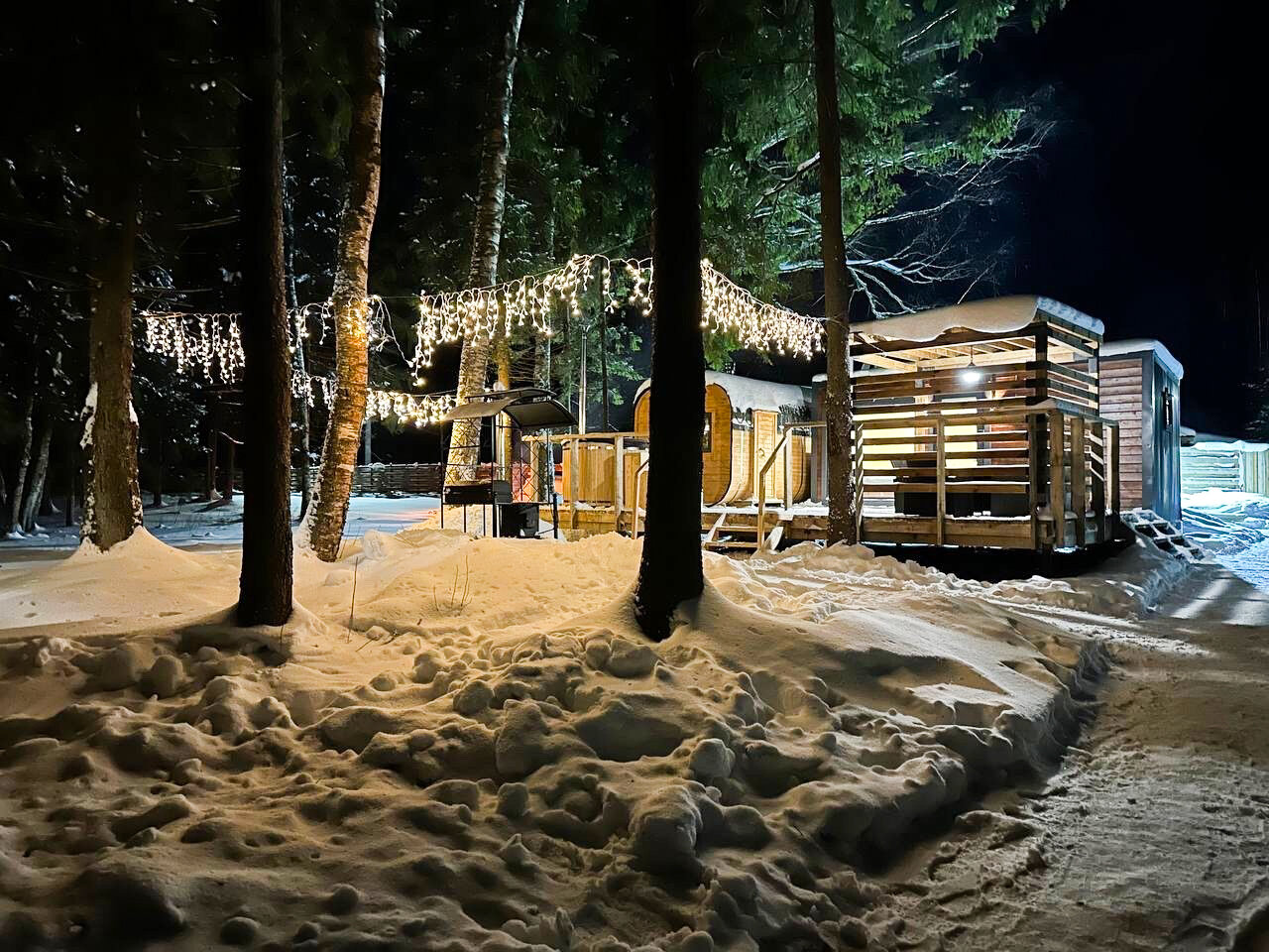 Фото Лесная тропа