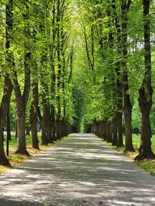 Lefortovsky Park (Moscow, Lefortovsky Park), park