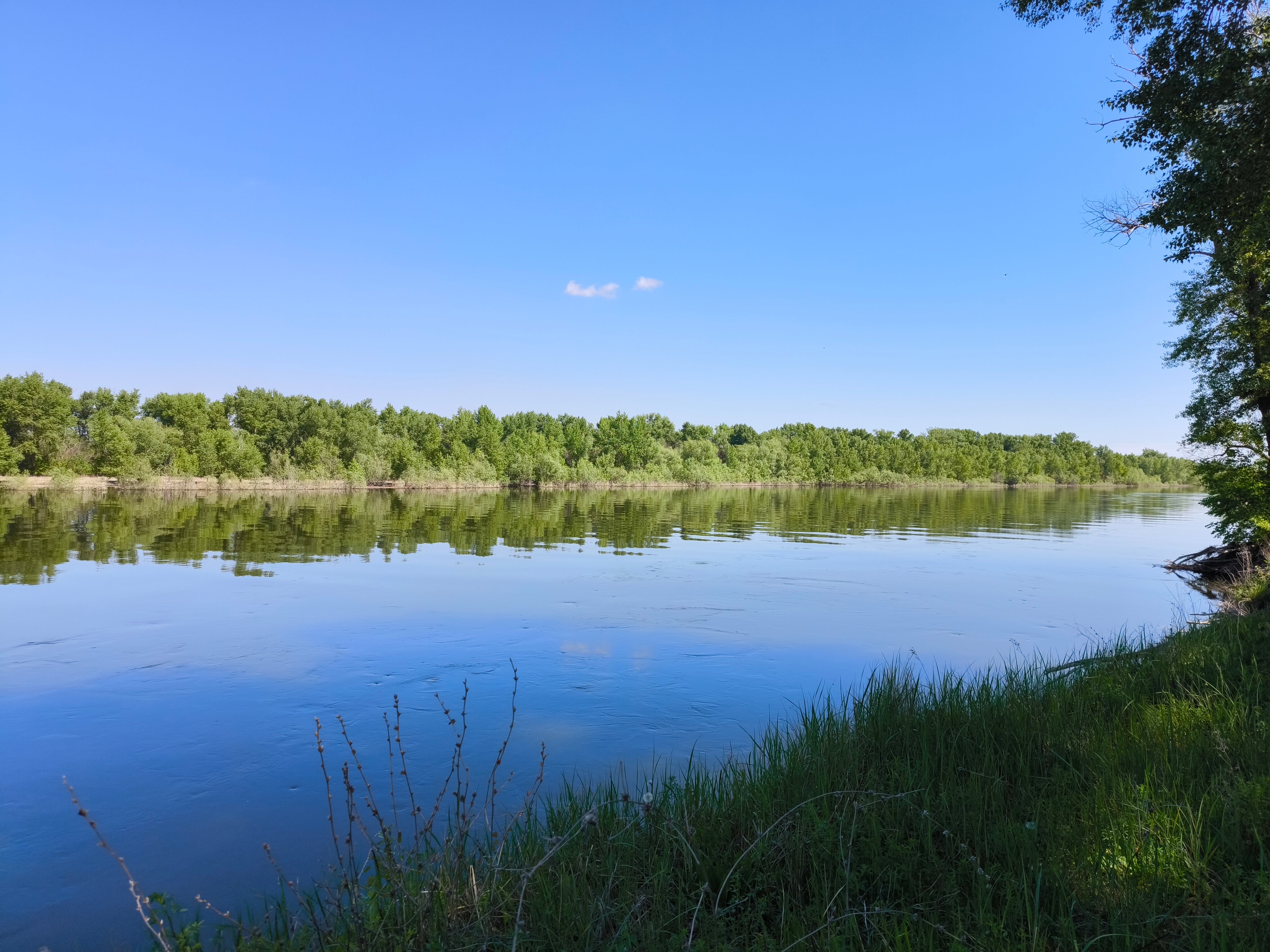 Фото Лесная