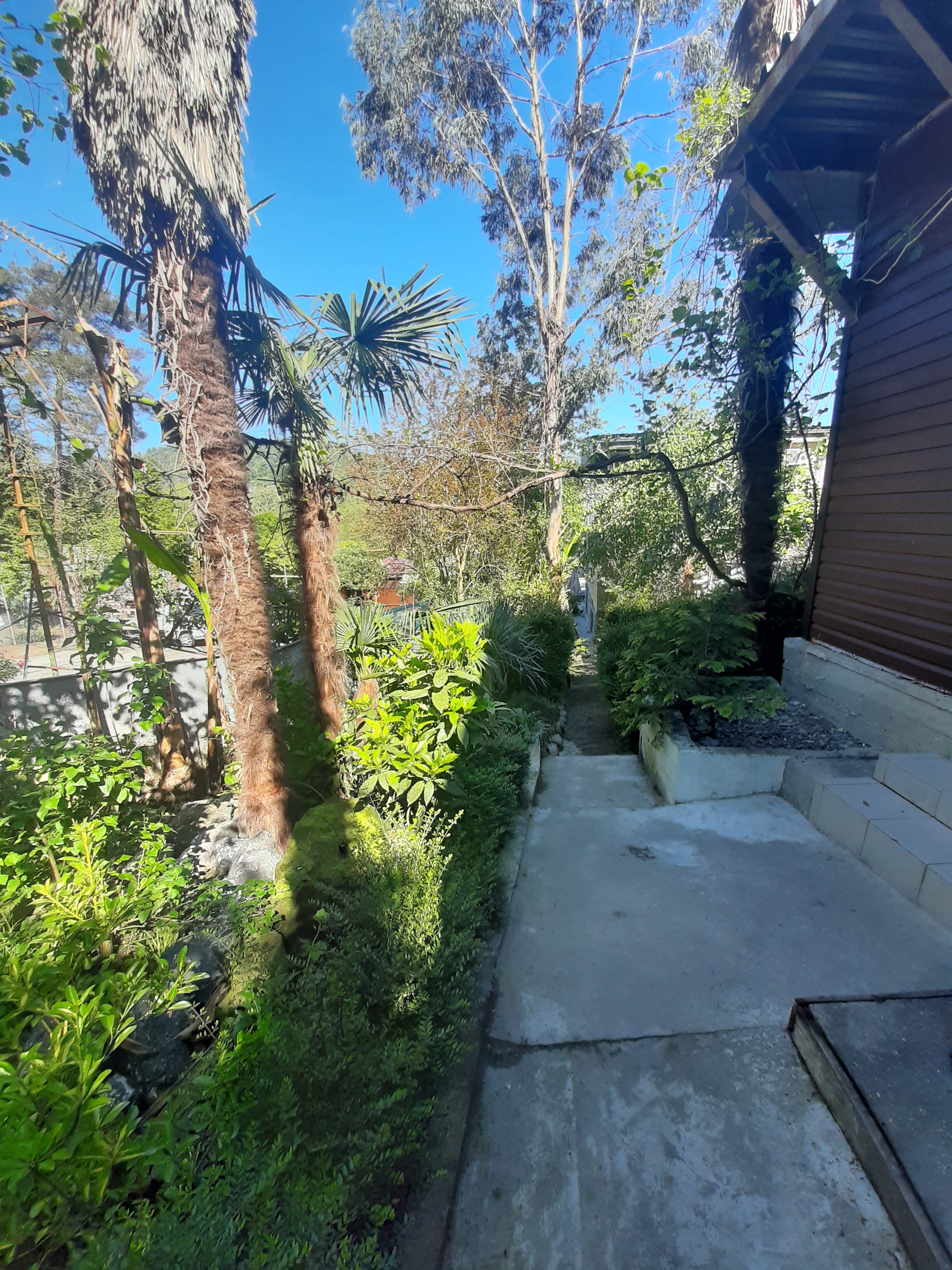 Фото Тихий дворик