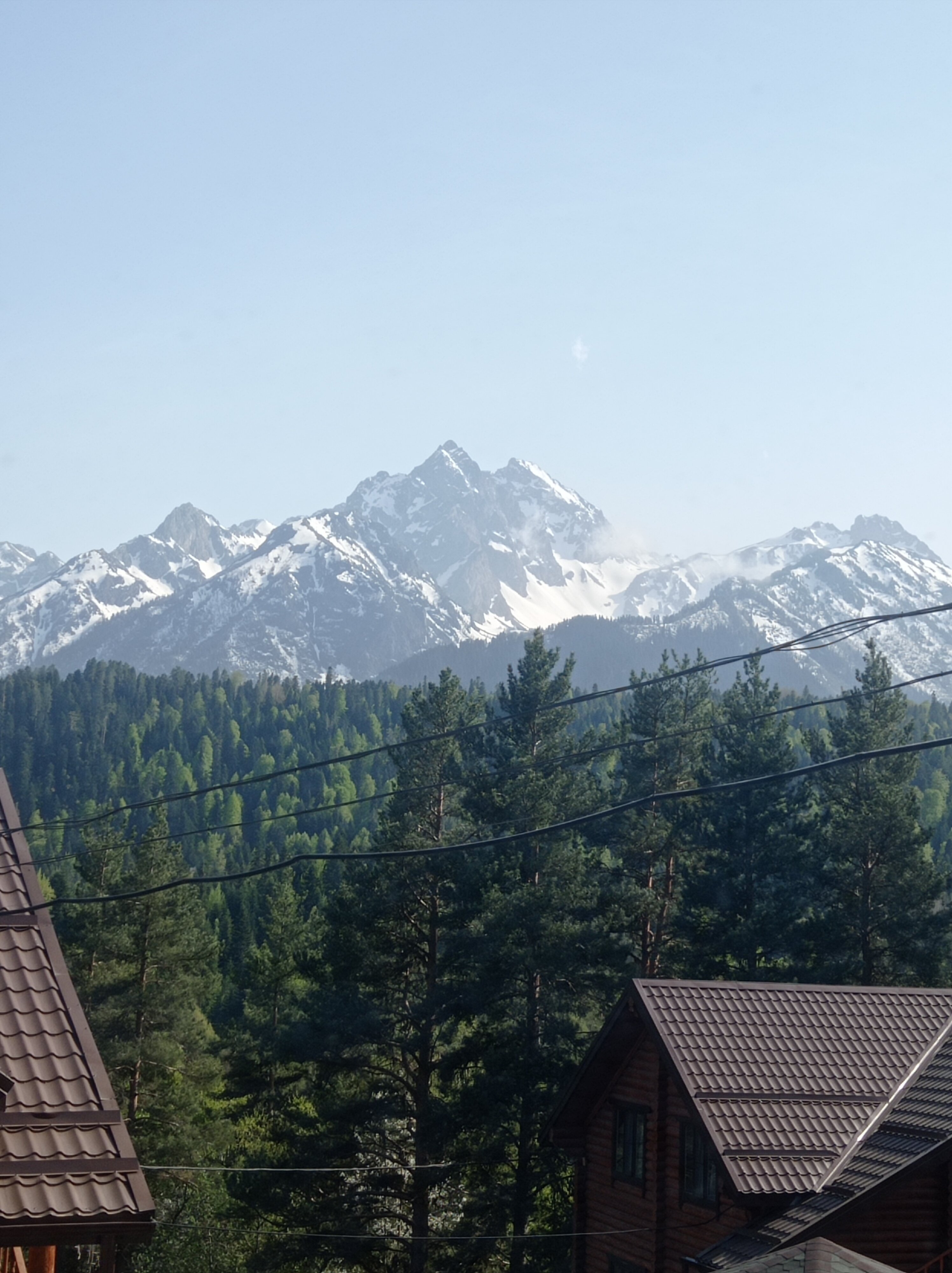 Фото Панорама