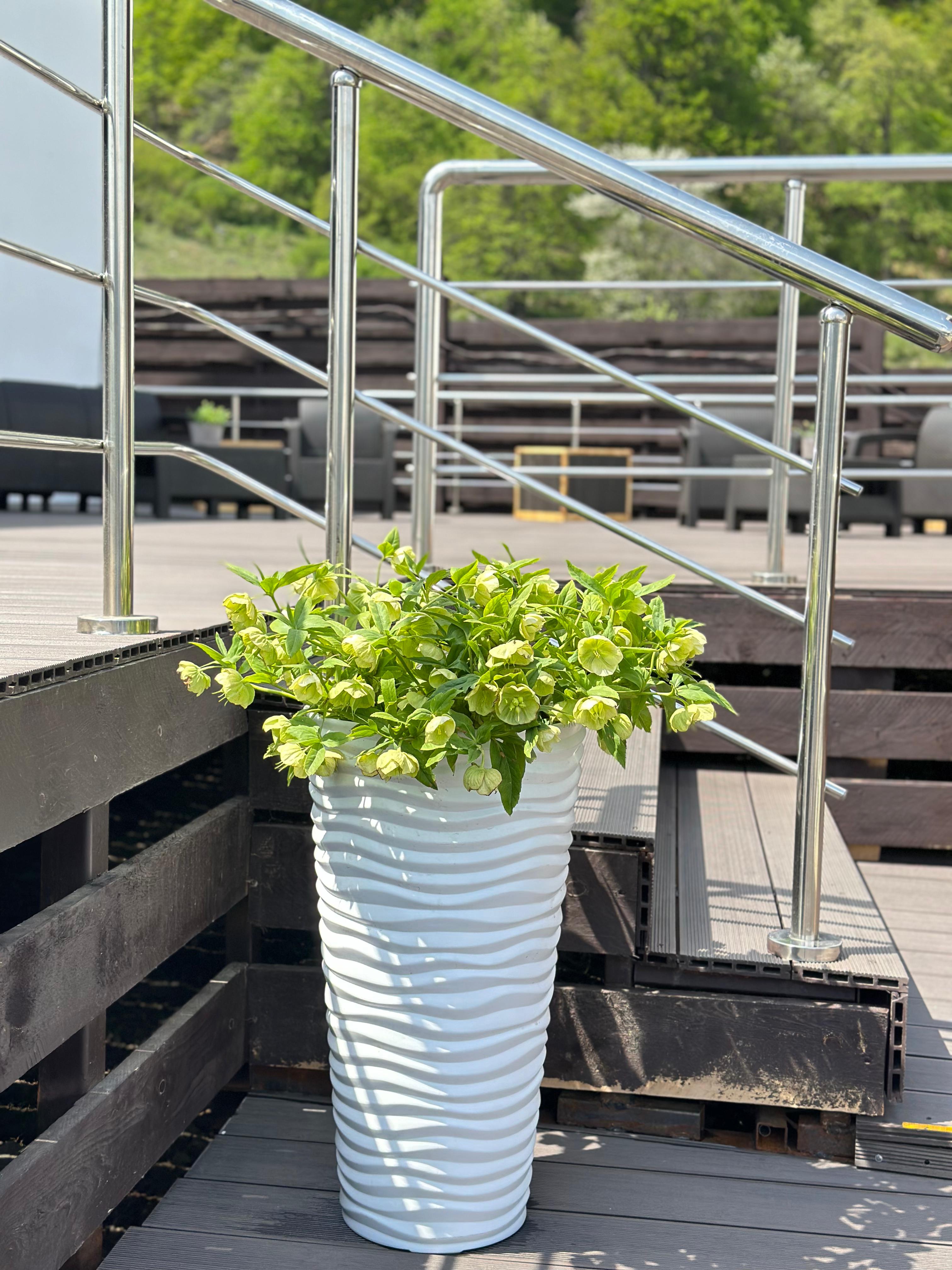 Фото Oscar Club Hotel