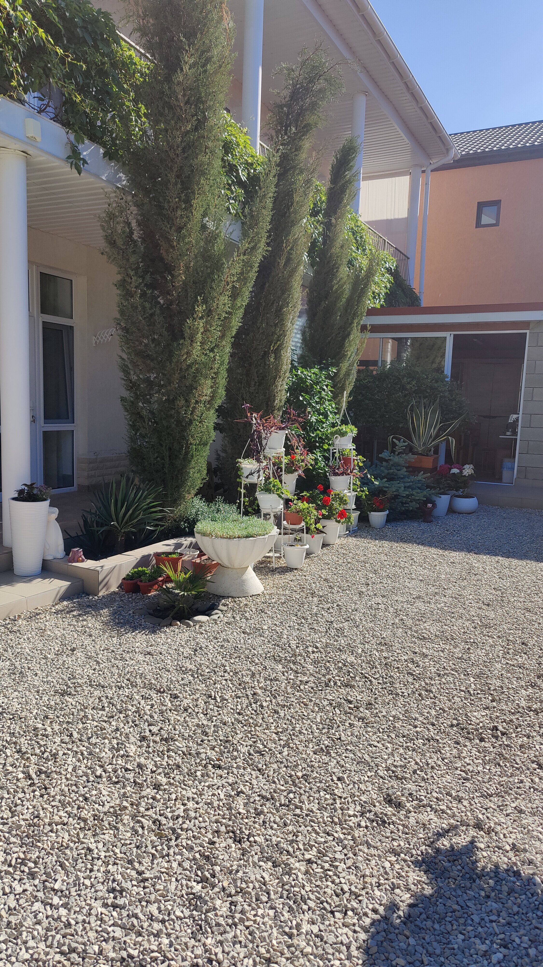 Фото Софита